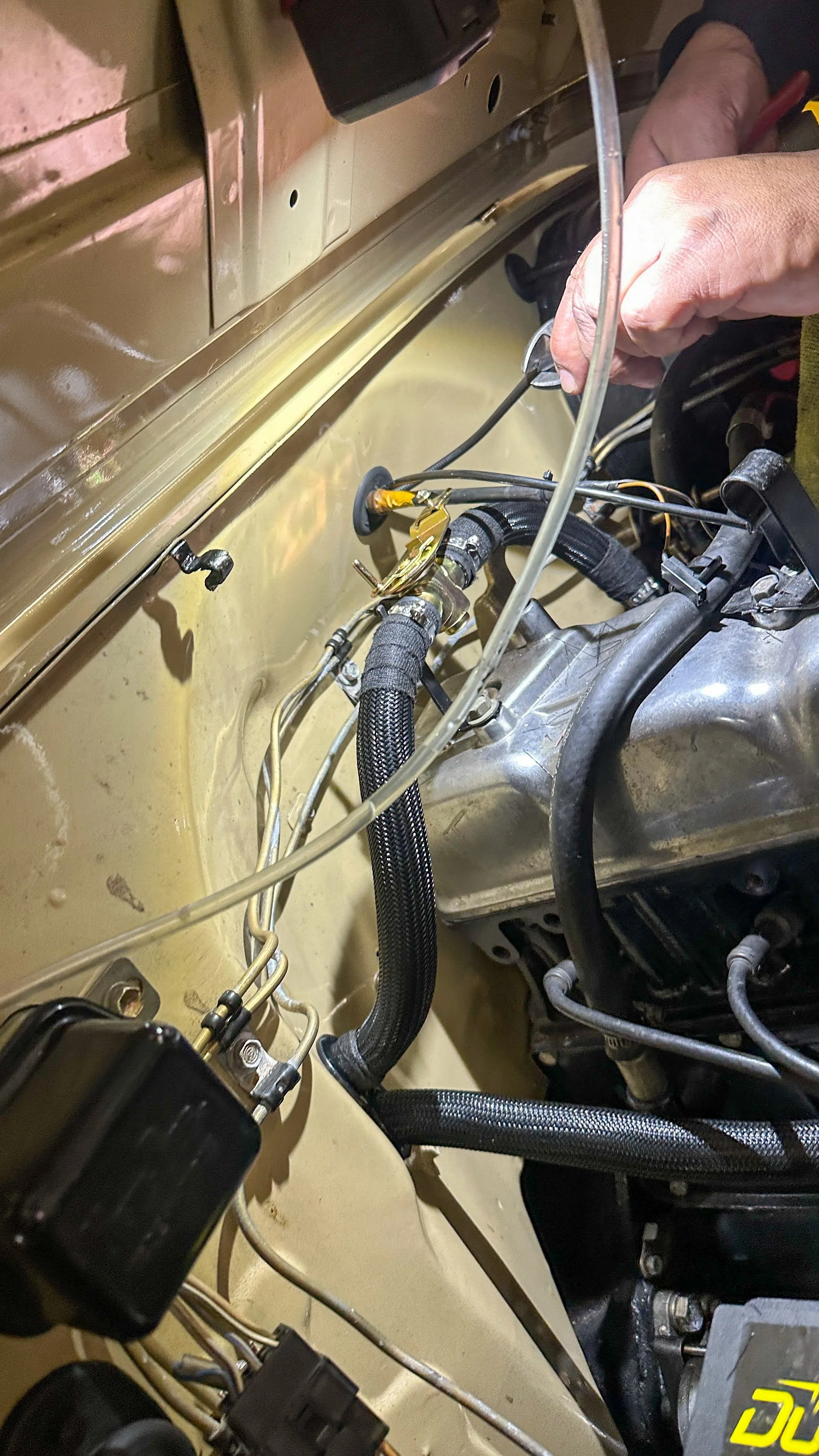 LO_Rocco_FJ45-_087.jpg