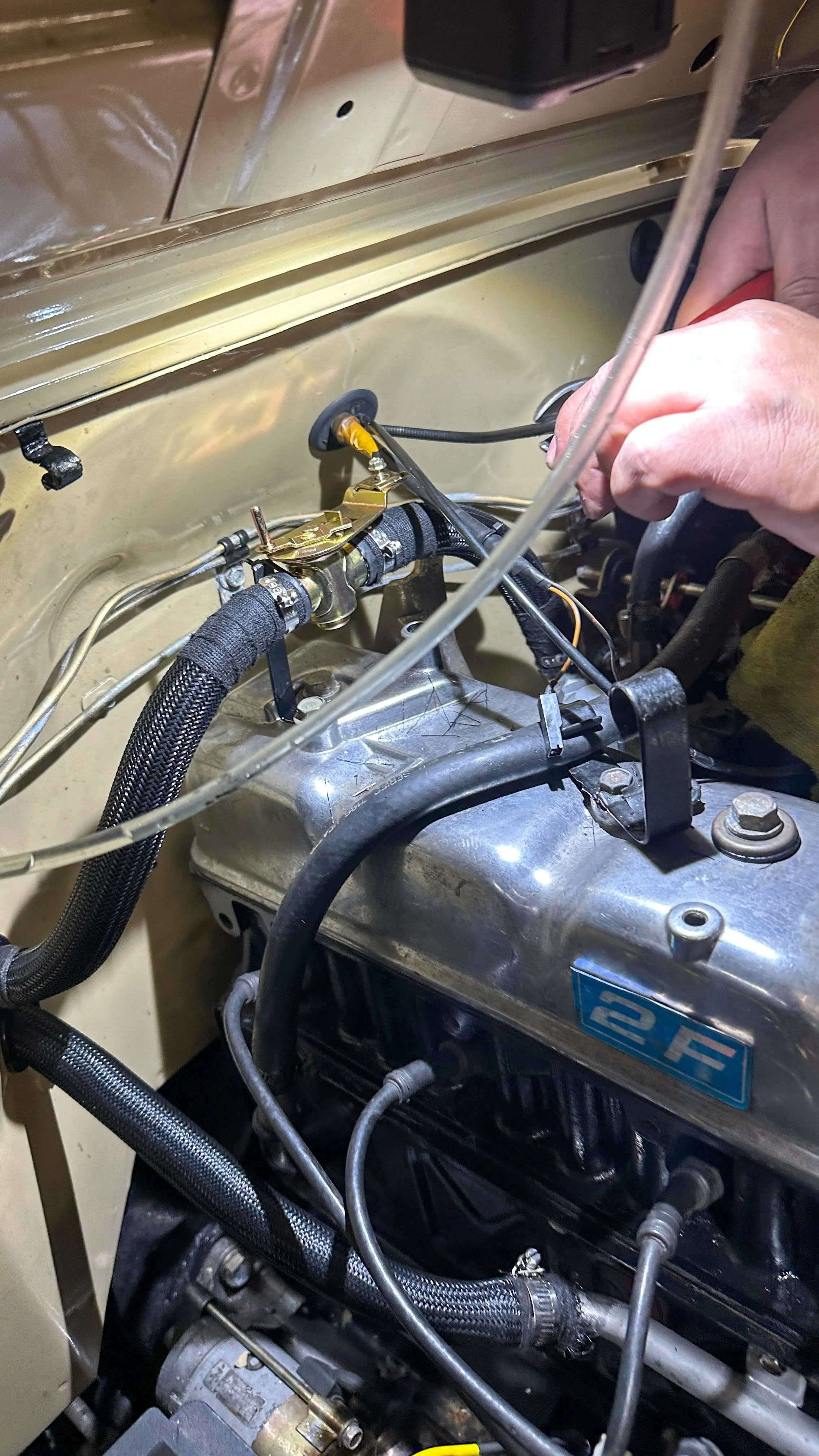 LO_Rocco_FJ45-_086.jpg
