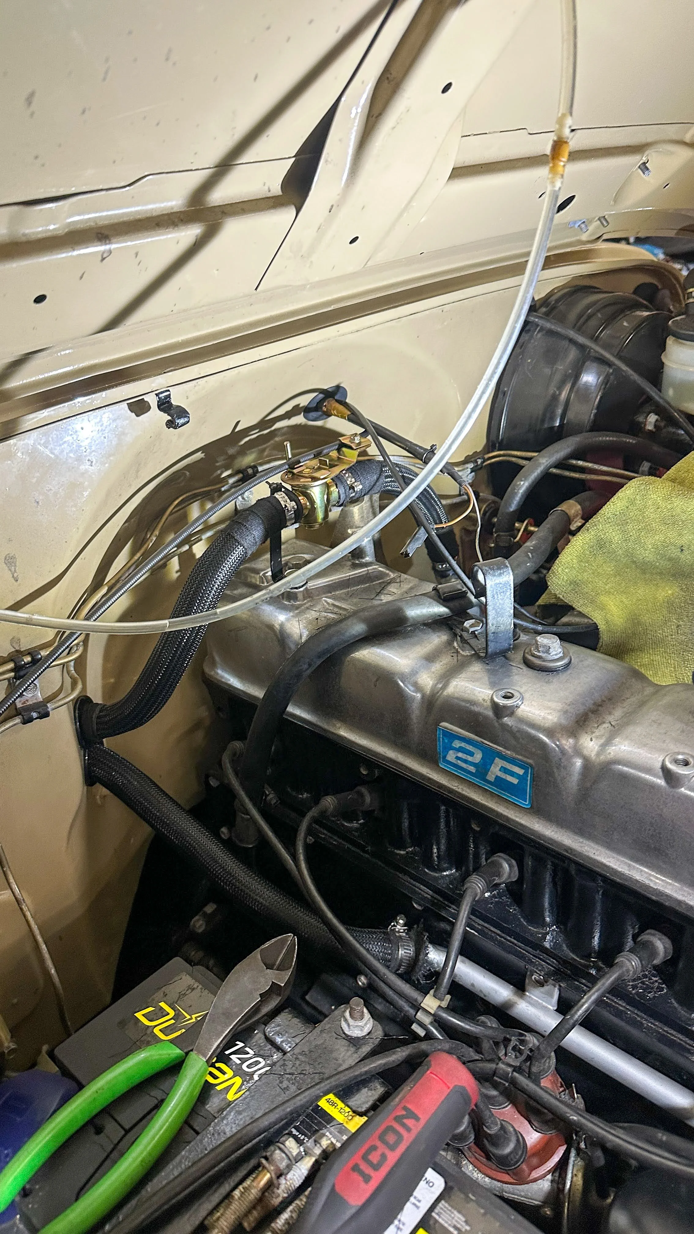LO_Rocco_FJ45-_085.jpg