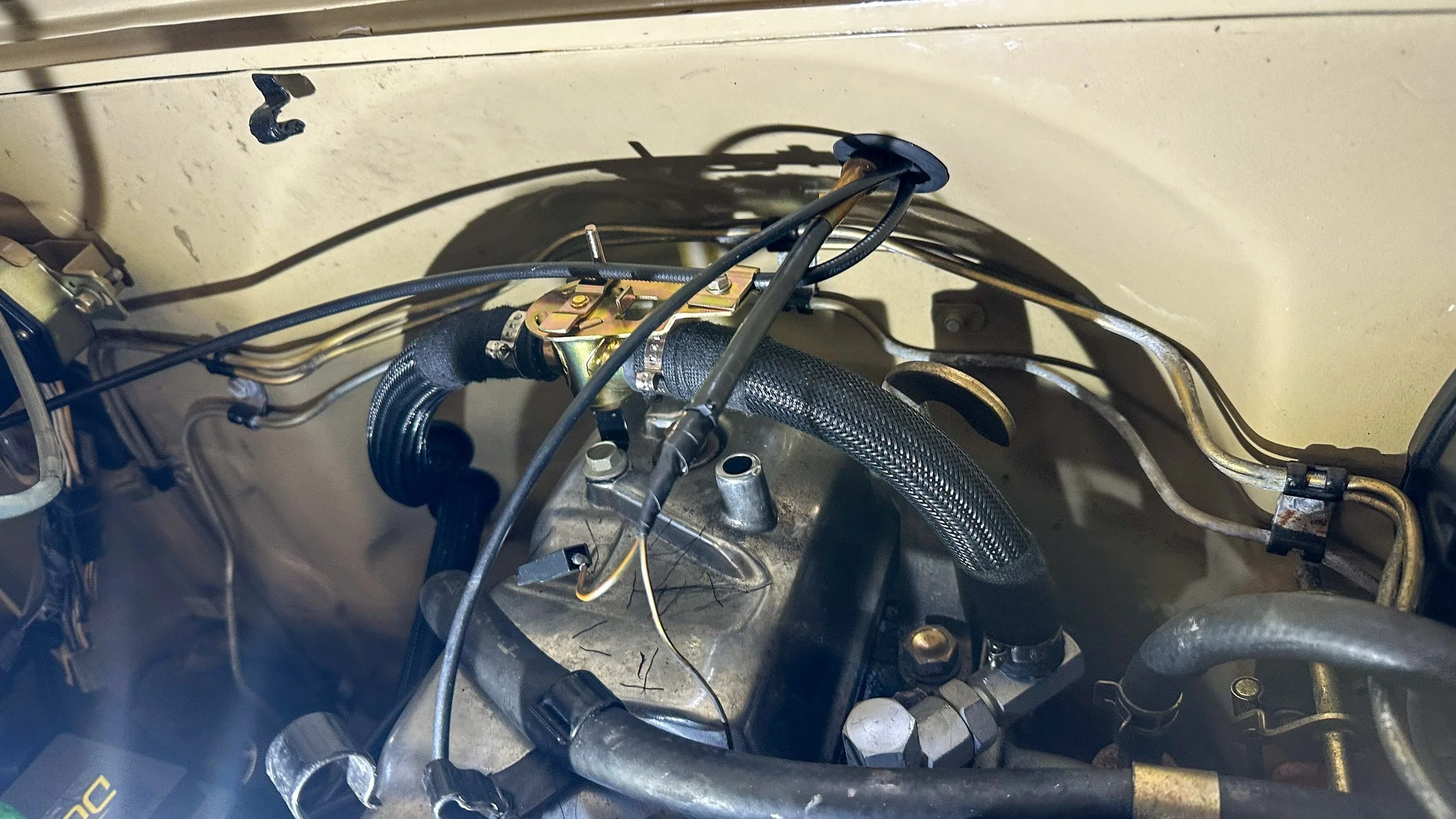 LO_Rocco_FJ45-_081.jpg