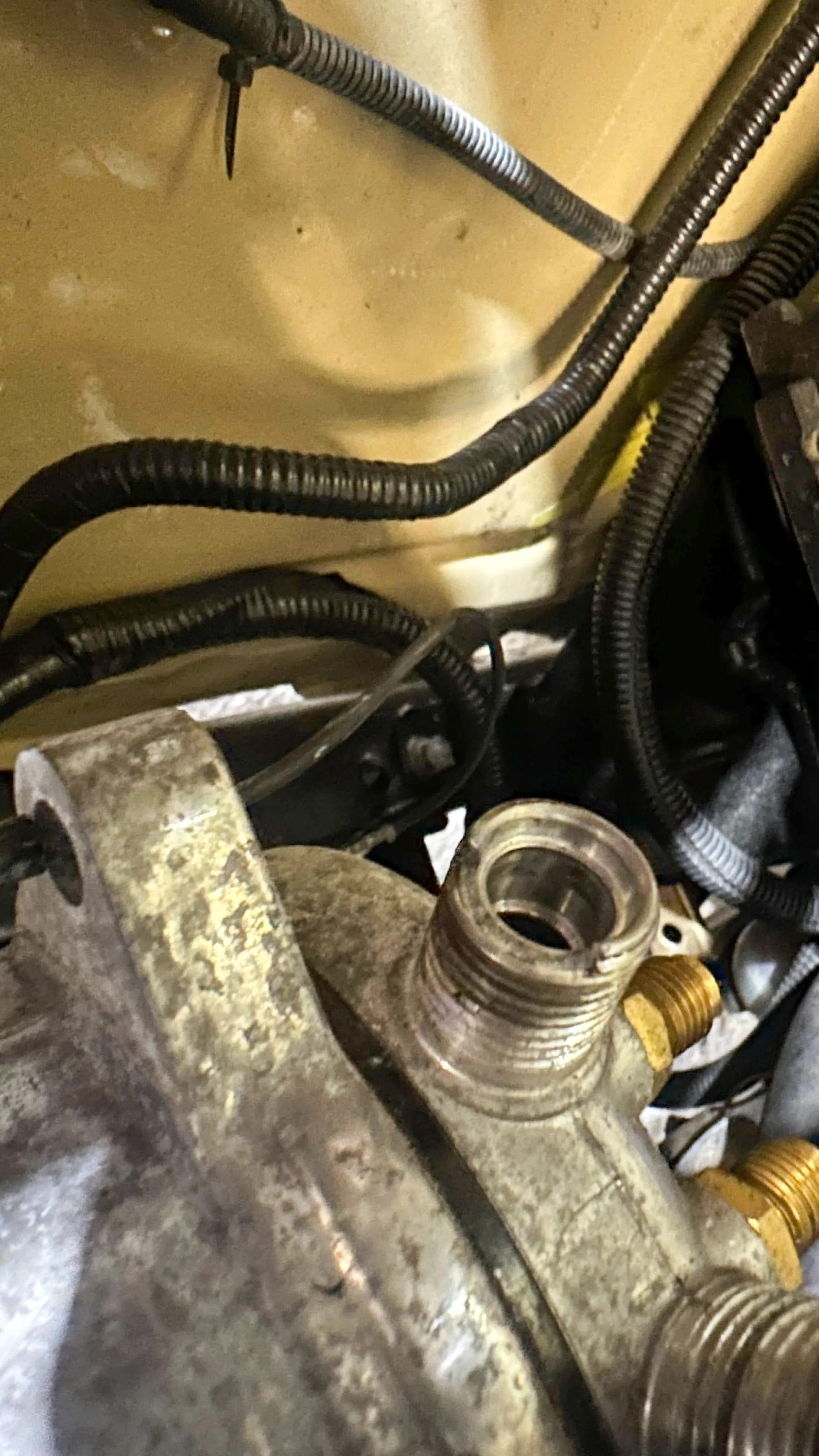 LO_Rocco_FJ45-_077.jpg
