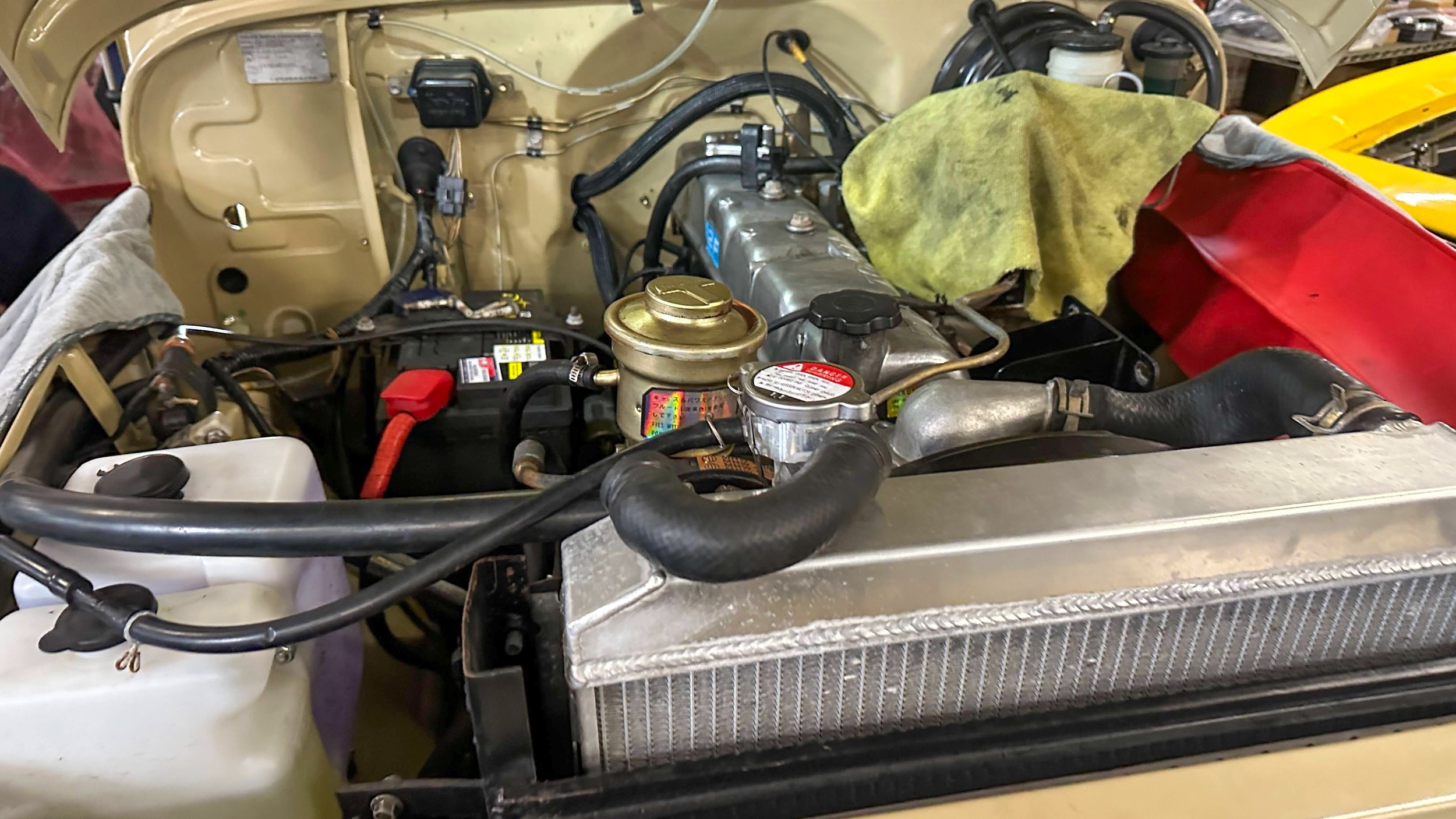 LO_Rocco_FJ45-_074.jpg