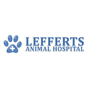 Current Network Alliance Animal Health