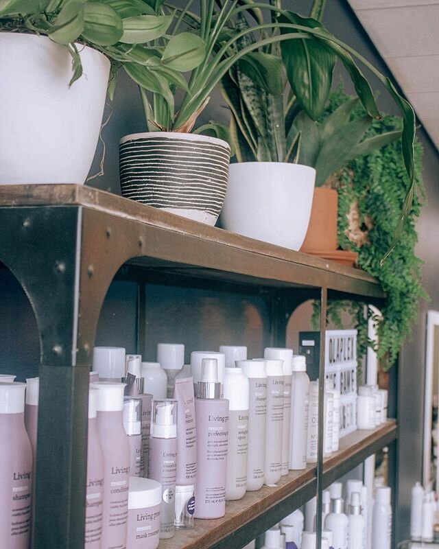 lots of amazing products here at Vogue 🌿 ask your stylist what&rsquo;s best for your hair!