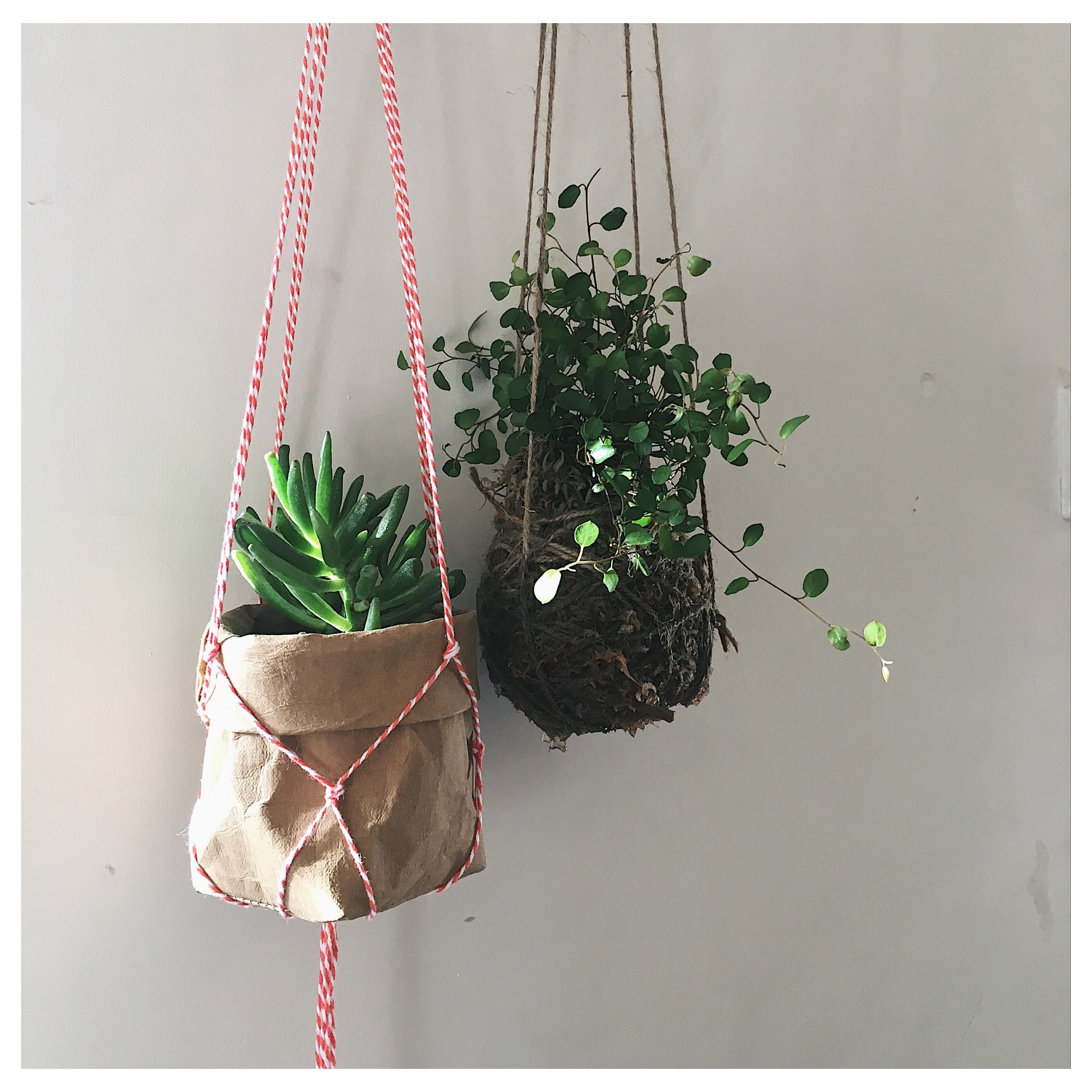 Mix and match with other shapes and textures