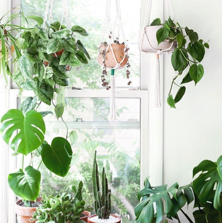 Make use of natural light