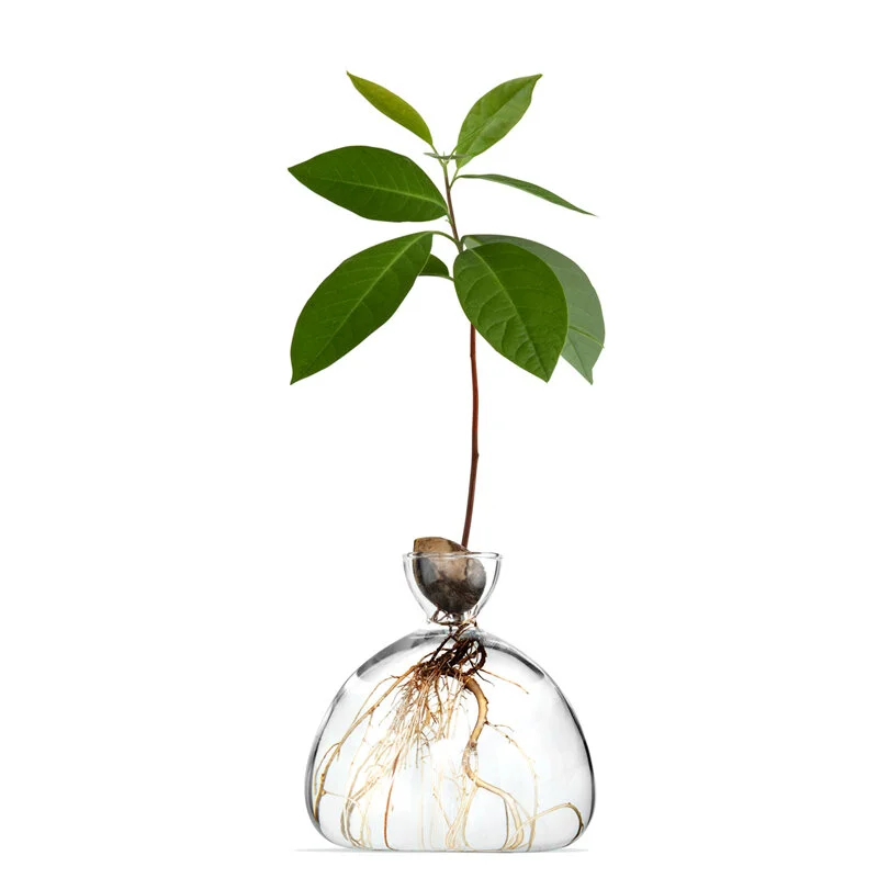 Avo-Vase3-Ilex-Studio_900x.jpg