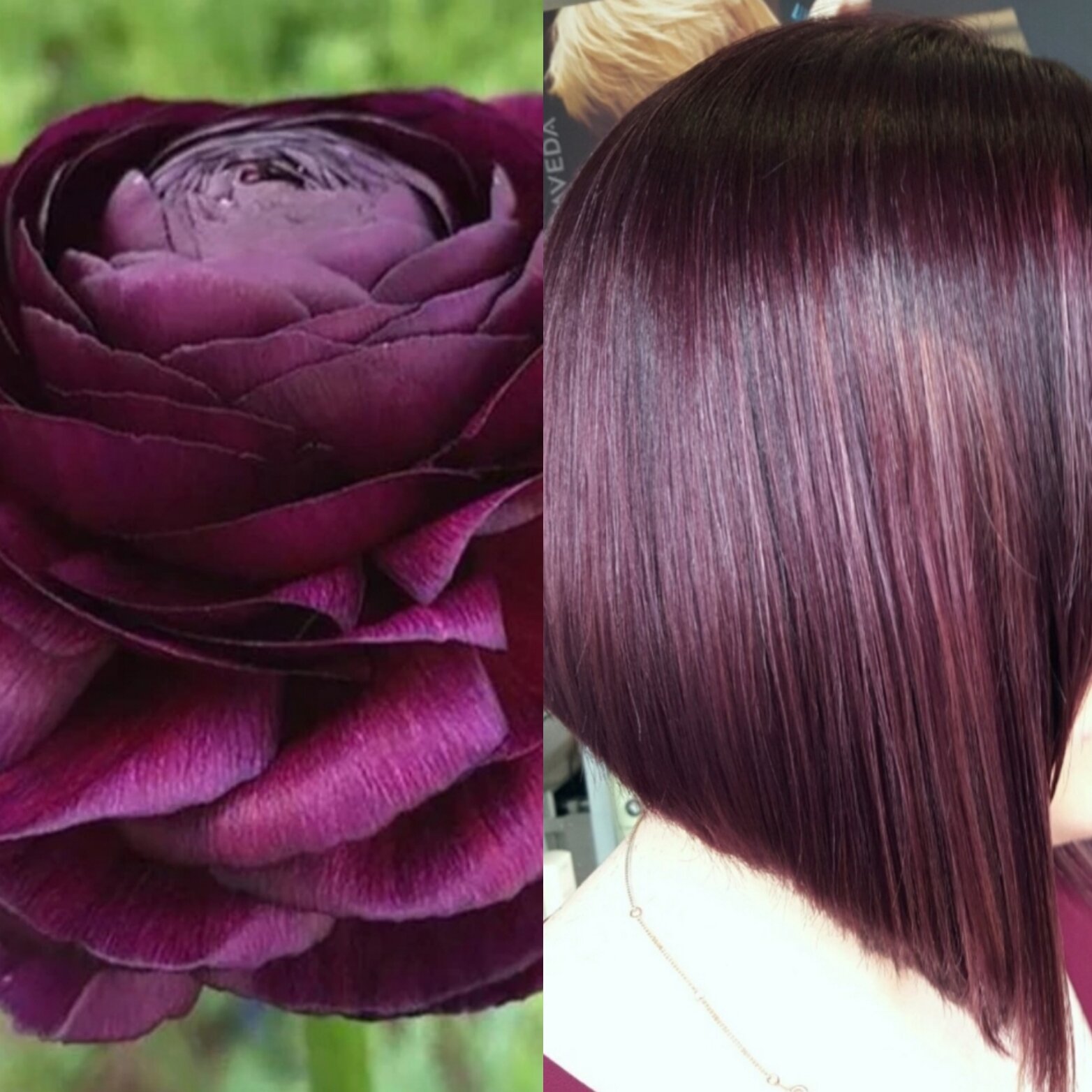 Aveda mulberry hair colour at Pello.jpg