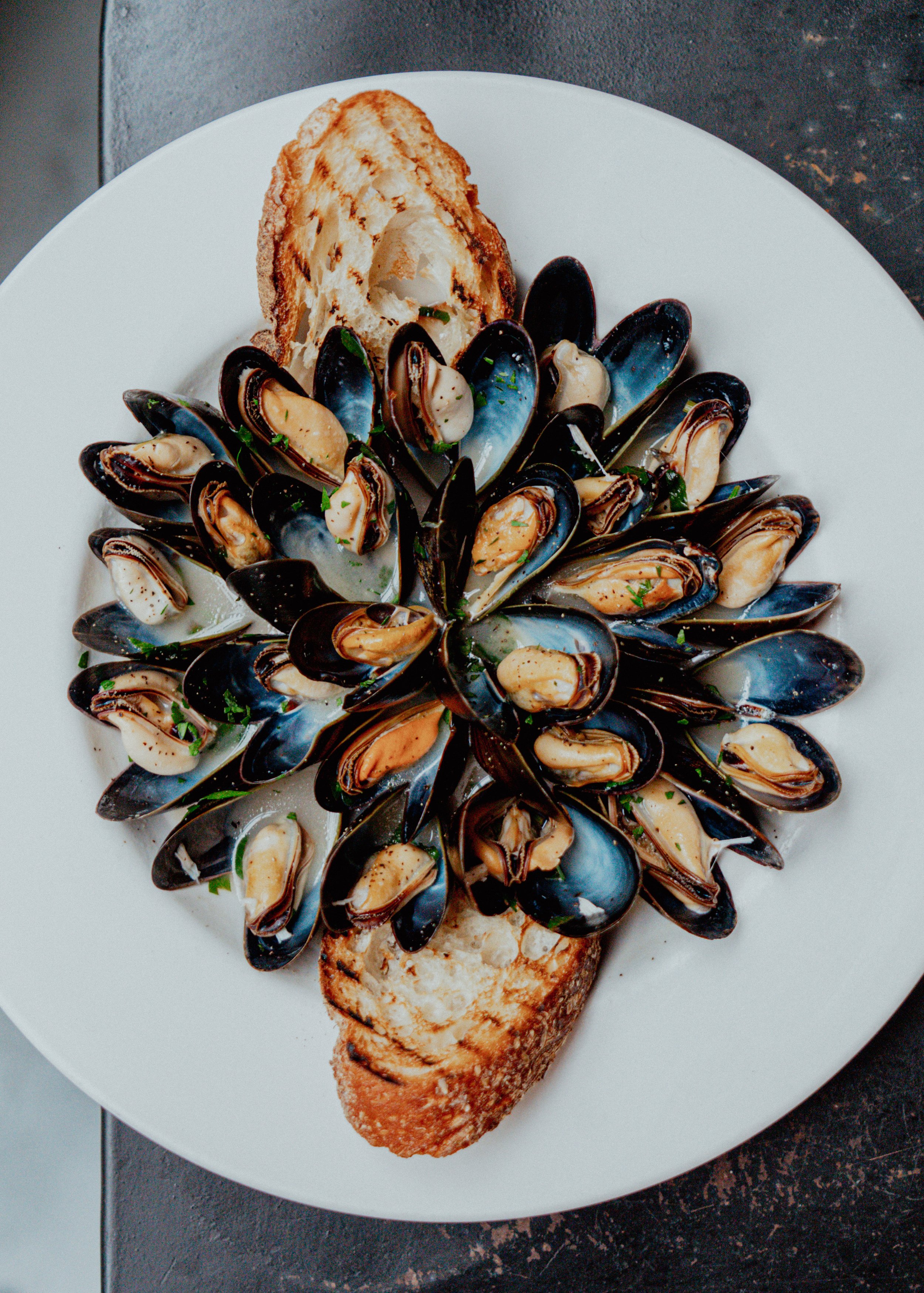 ALMAR FALL MUSSELS 1.jpg