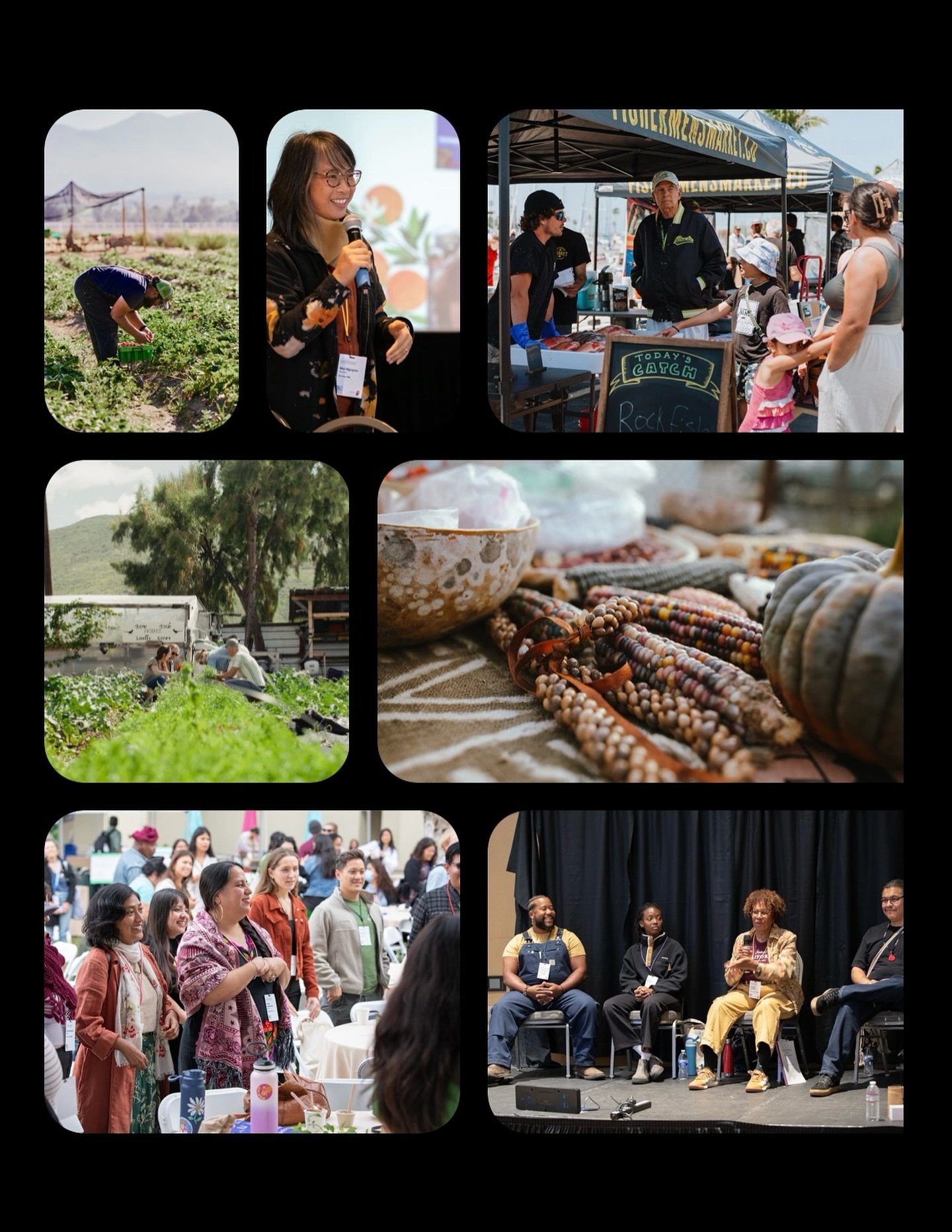 Did you know that 1% of our annual revenue goes to support environmental organizations?

This year we are proud to support the San Diego Food System Alliance!!! The Alliance&rsquo;s work directly supports small-scale farmers, fishermen, food business
