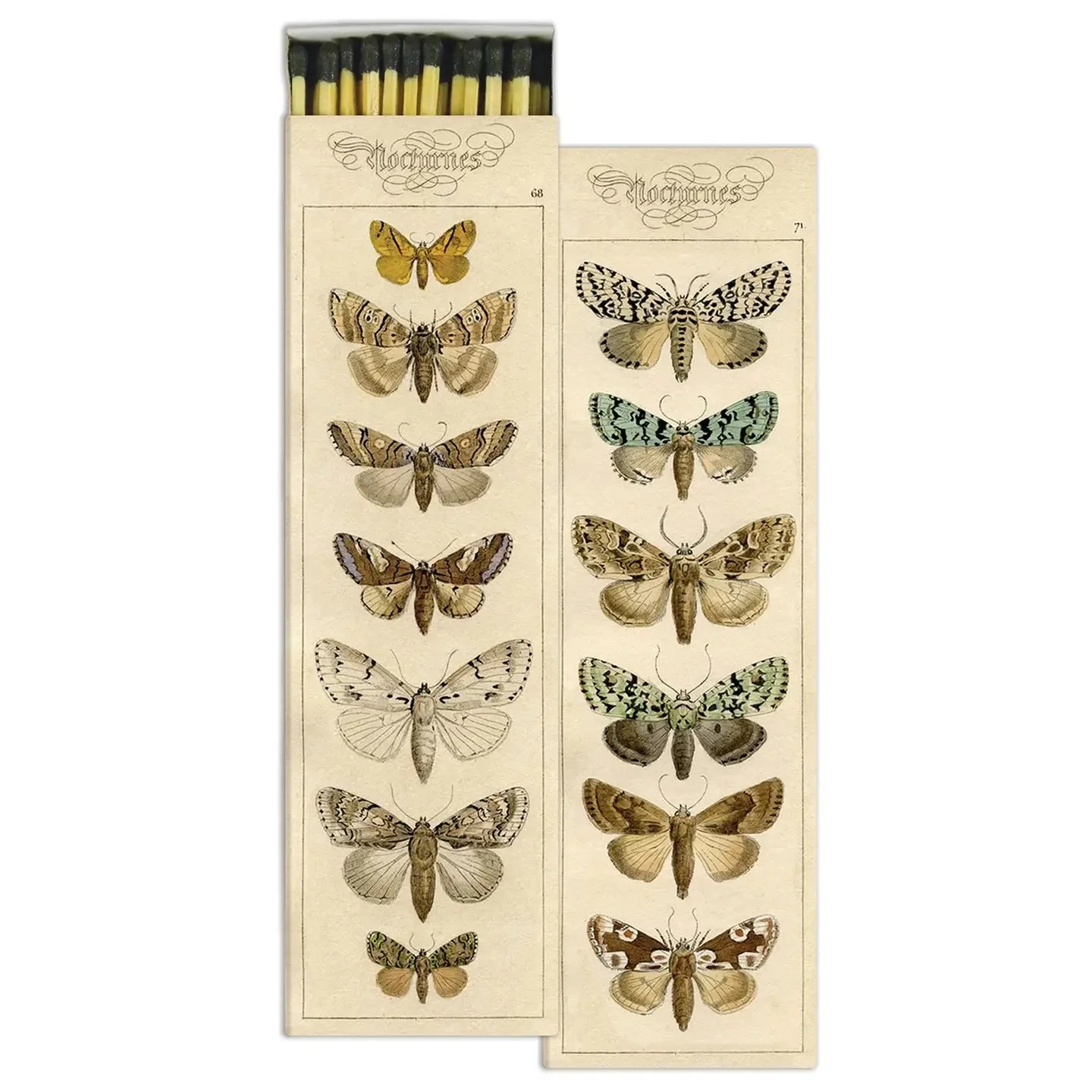 Large Moth Match Box