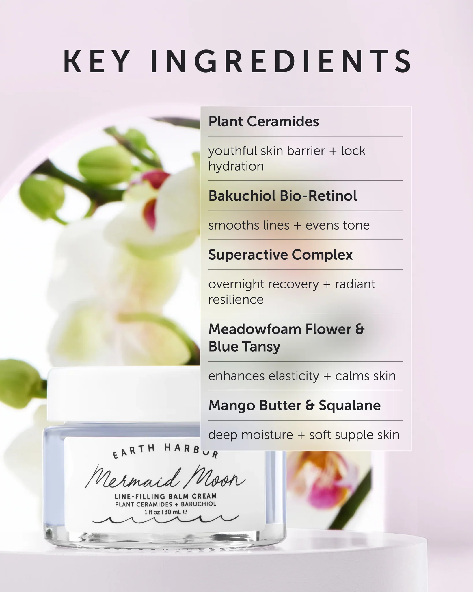 MermaidMoon_KeyIngredients_2048x2048.webp