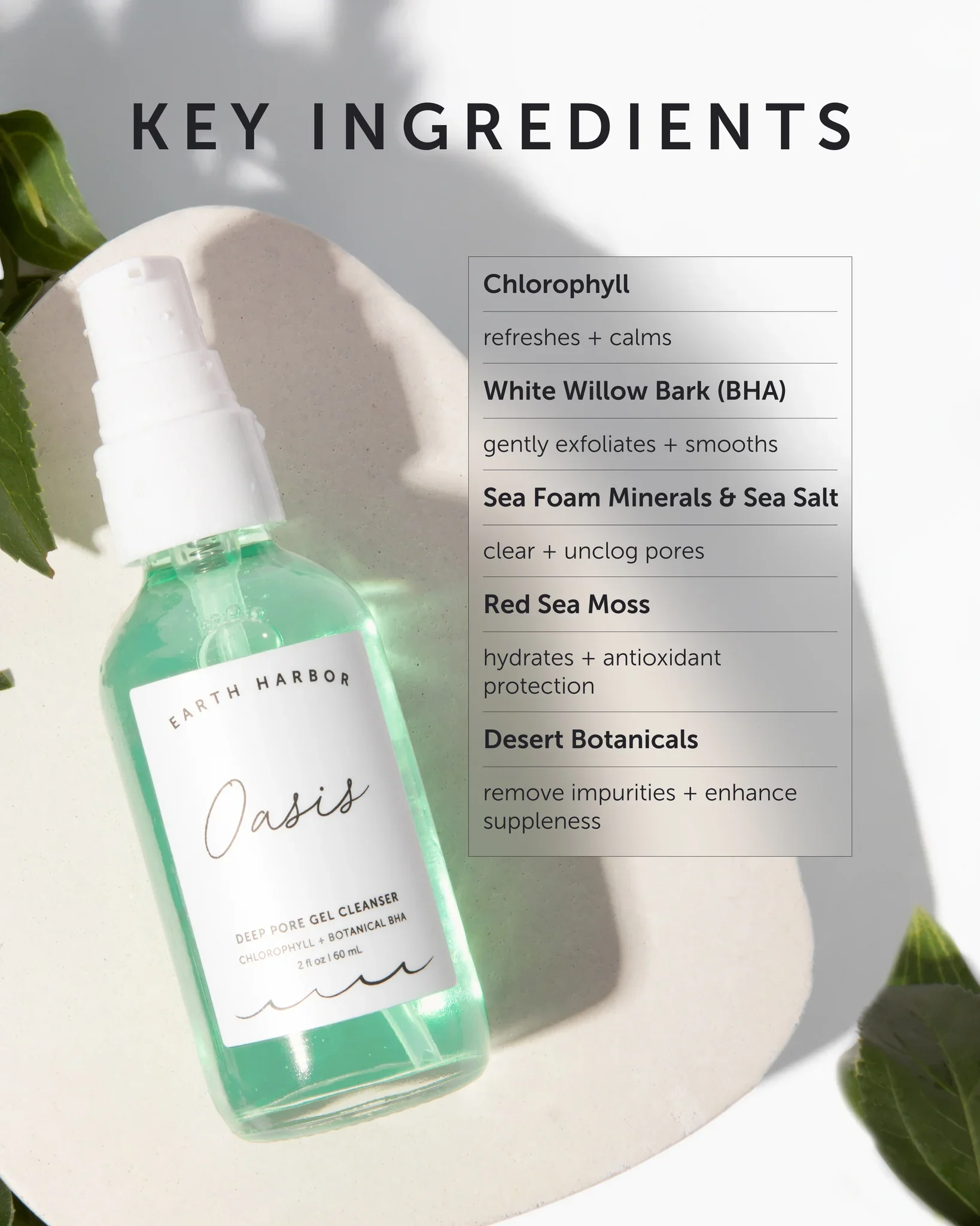 Oasis-KeyIngredients-Image_2048x2048.webp
