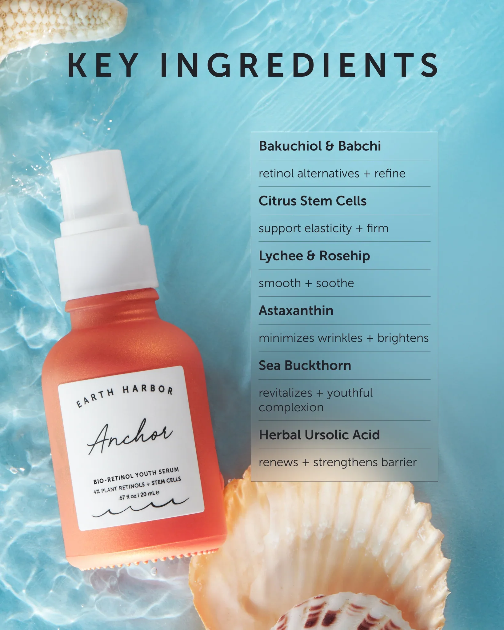 Anchor-KeyIngredients-Image_2048x2048.jpg.webp