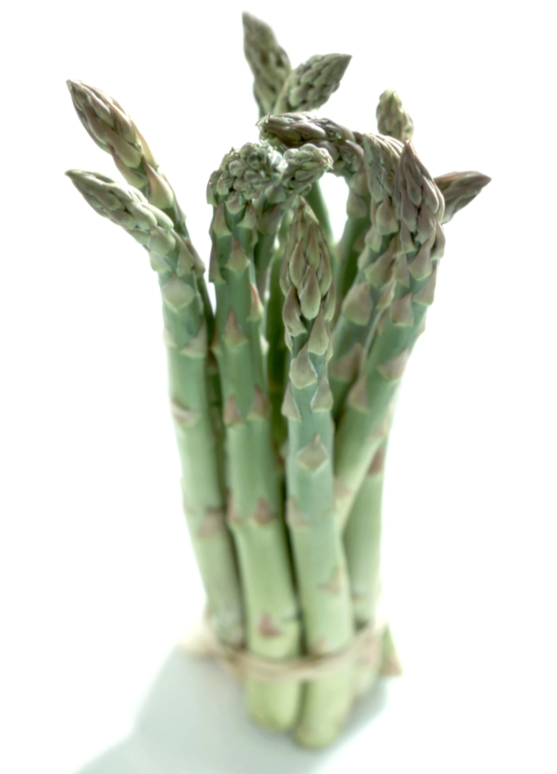 asparagus.jpg