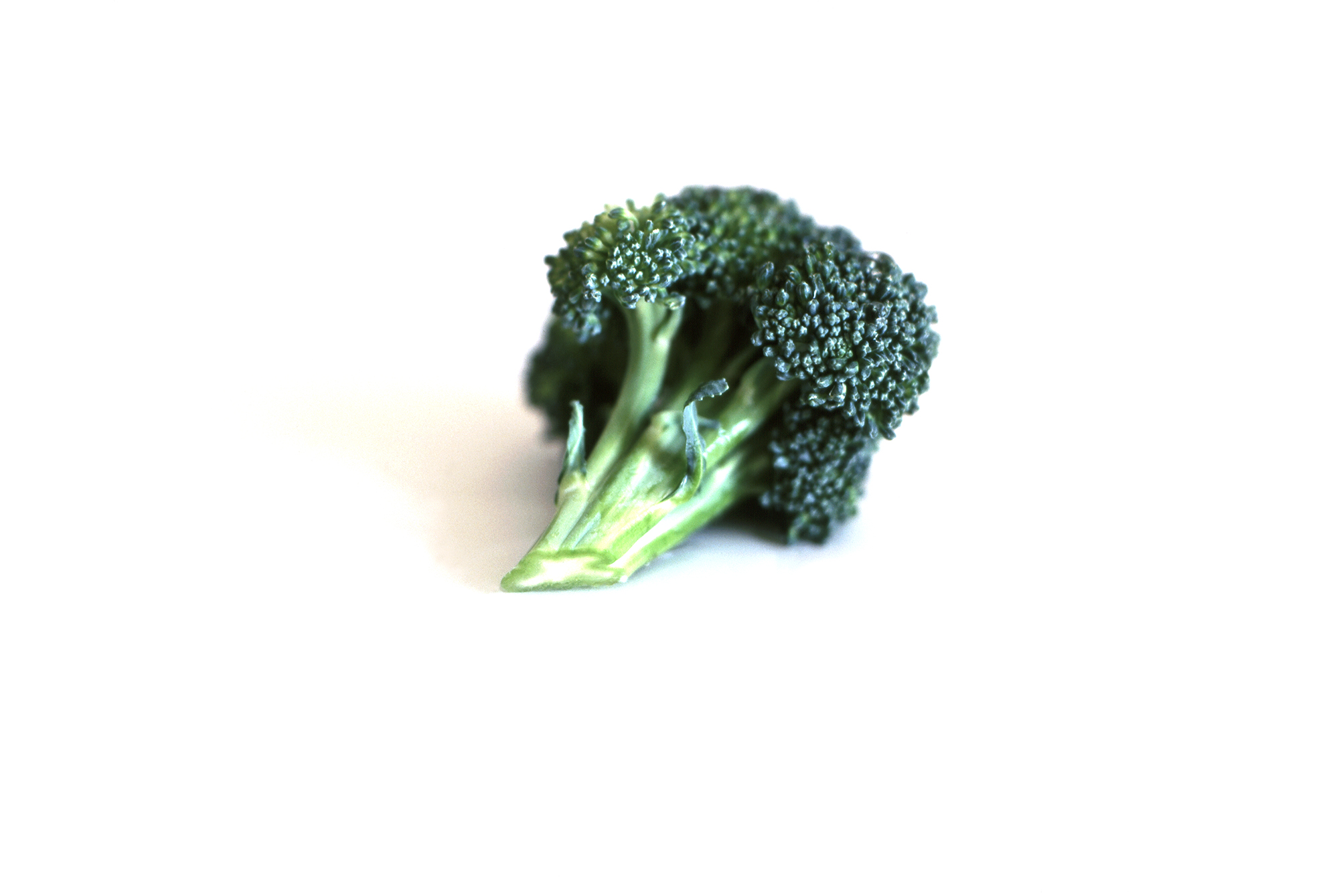 broccoli.jpg