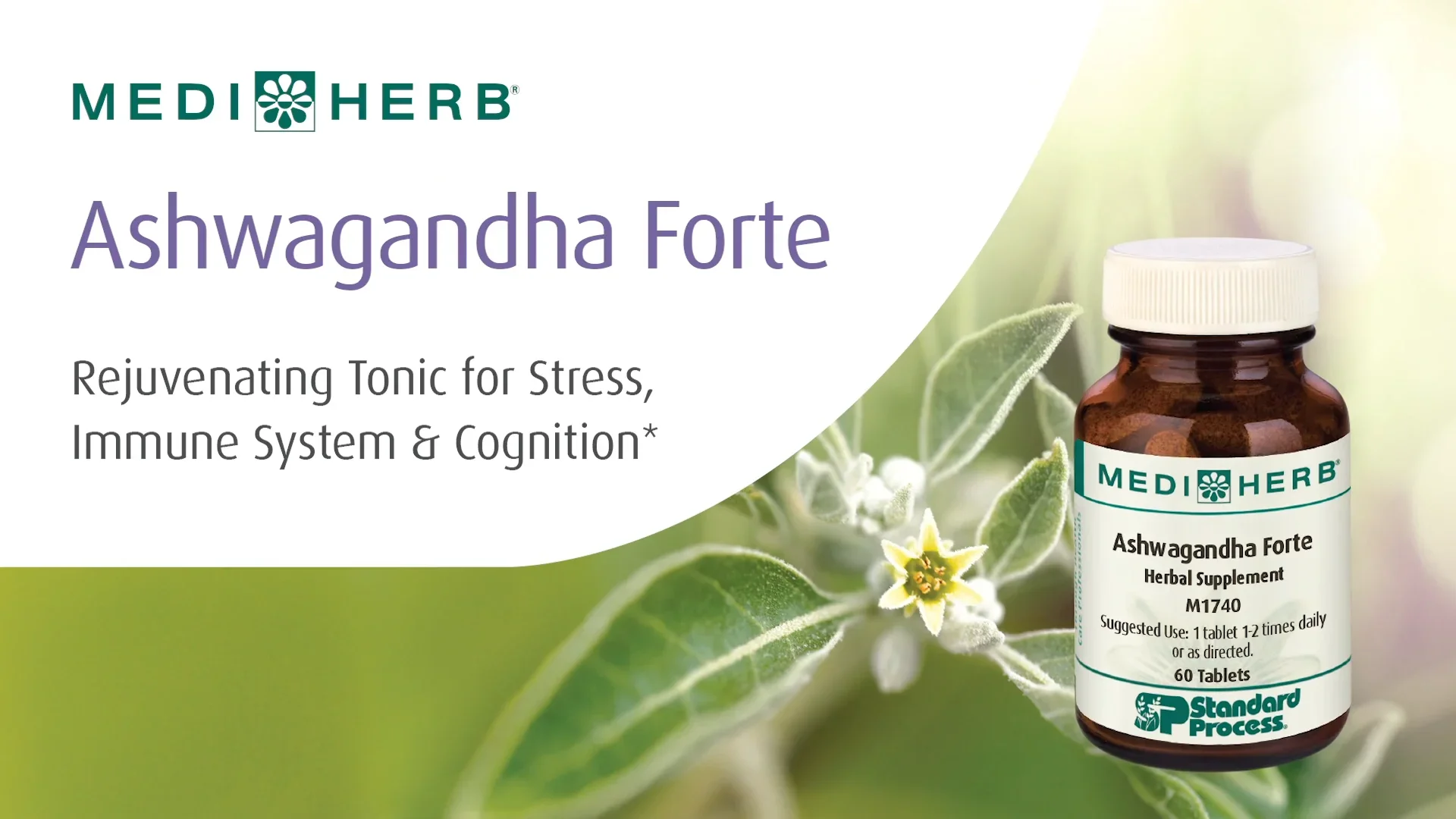 Ashwagandha Forte: Whole-Food Support for Stress Relief, Energy &amp; Adrenal Balance in Mendon NY