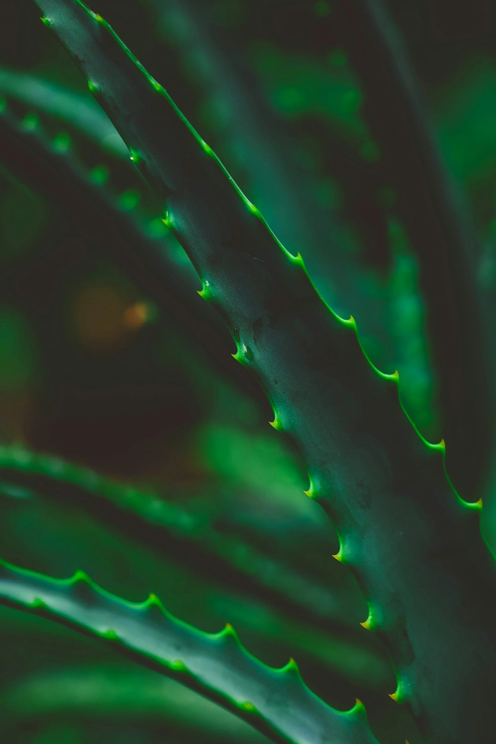 Magnesium for Leg Cramps — Natural Relief for Patients in Mendon &amp; Honeoye Falls