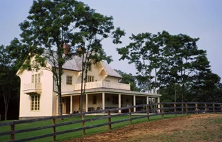 Rear View