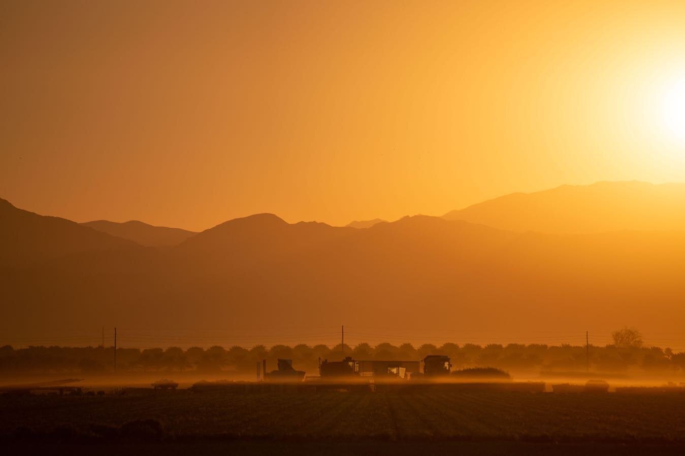 Sunrise on the farm was beautiful this morning. Happy Friday everybody! 
.
.
.
#goldenstateherbs #sunrise #farm #farmlife #mountains #californiafarmsandranches #culinaryherbs #airdried #californialove