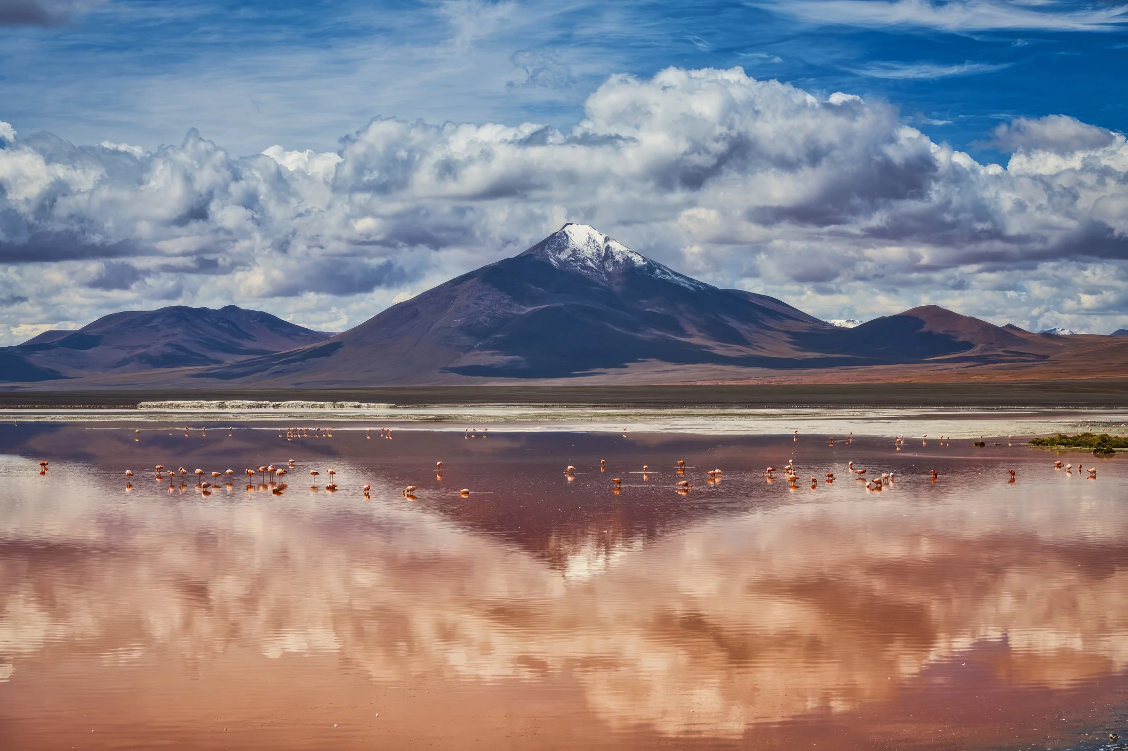 Bolivia++5517 TPZS.jpg