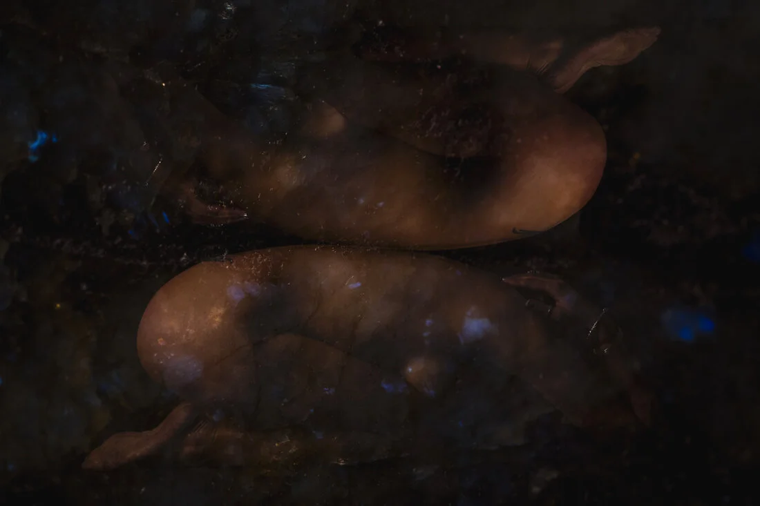 Abstract  L D  8953.jpg