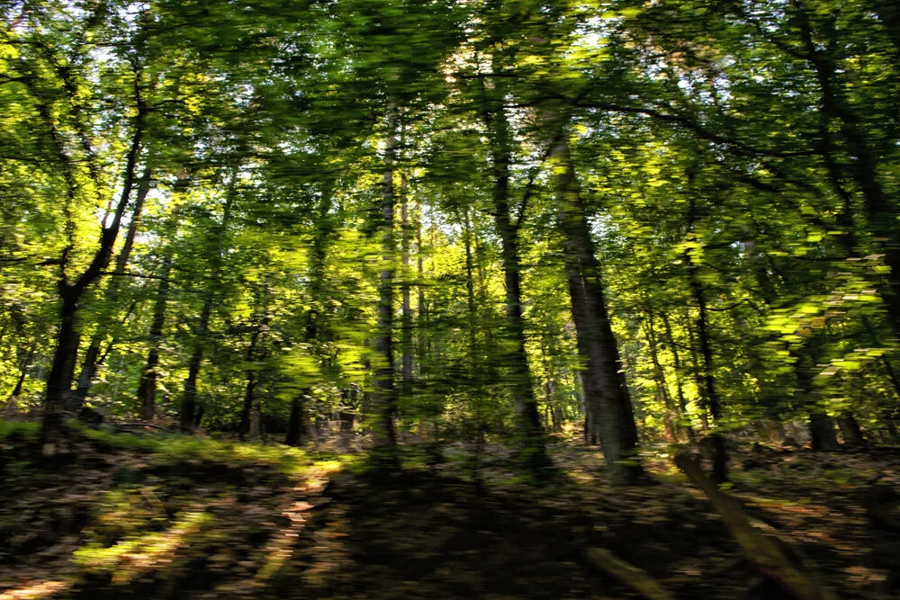 Peter Mercieca  1027.jpg