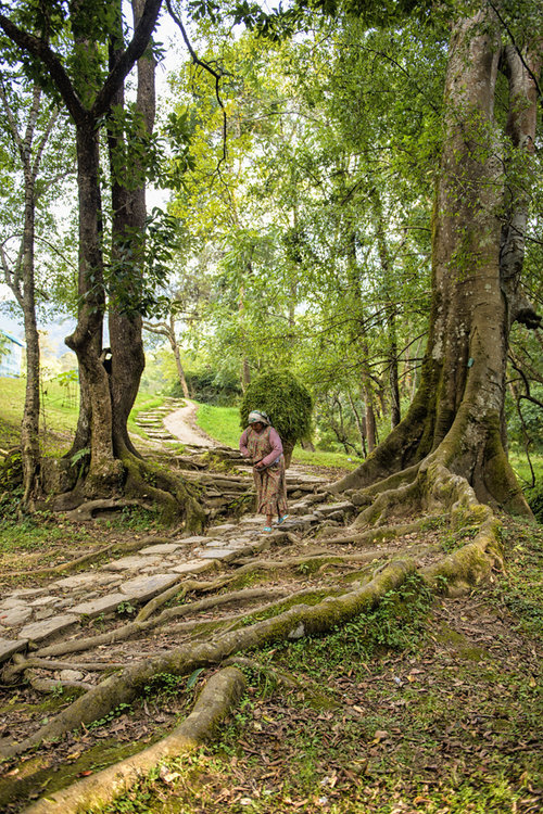 Peter+Mercieca+Nepal++(23).jpg