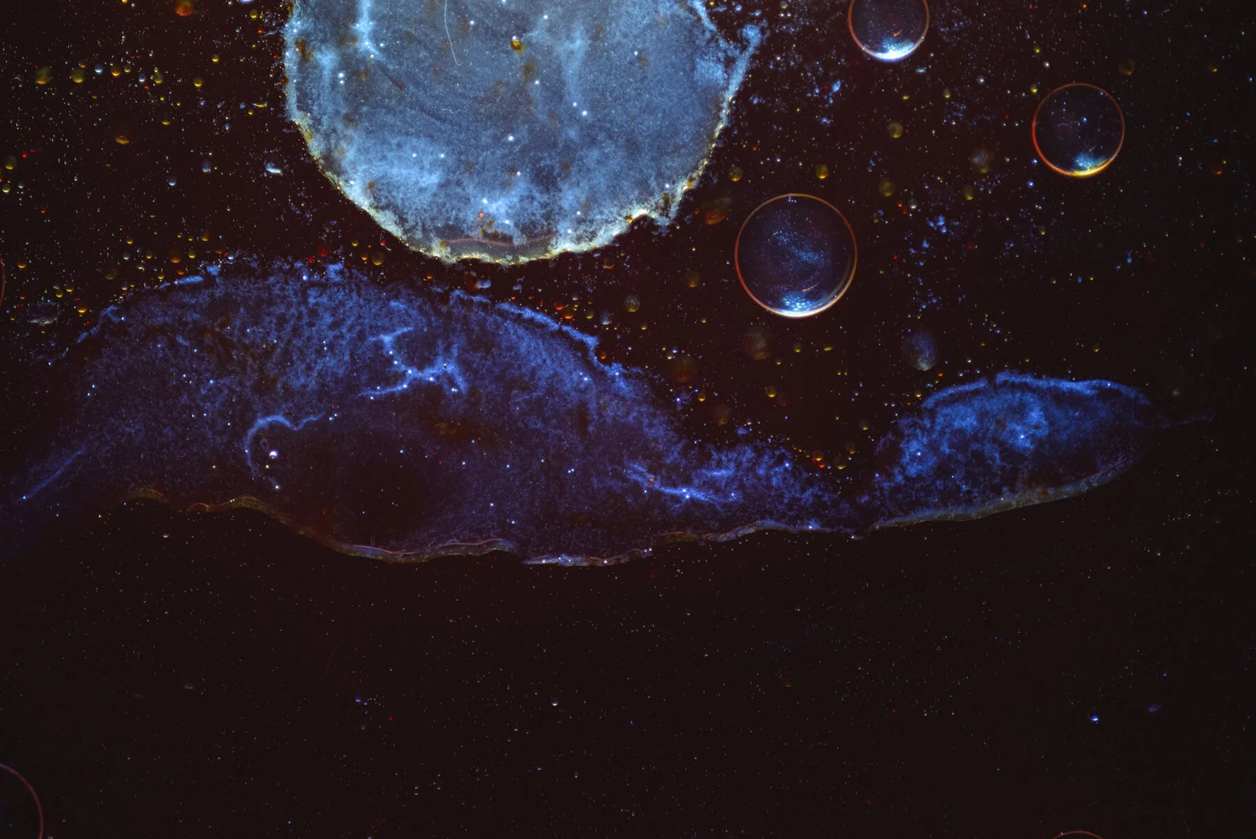 Peter Mercieca Inter SLD 7146.jpg