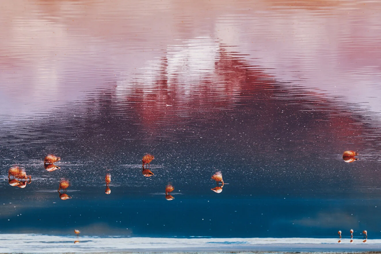 zoom2Bolivia  5519.jpg