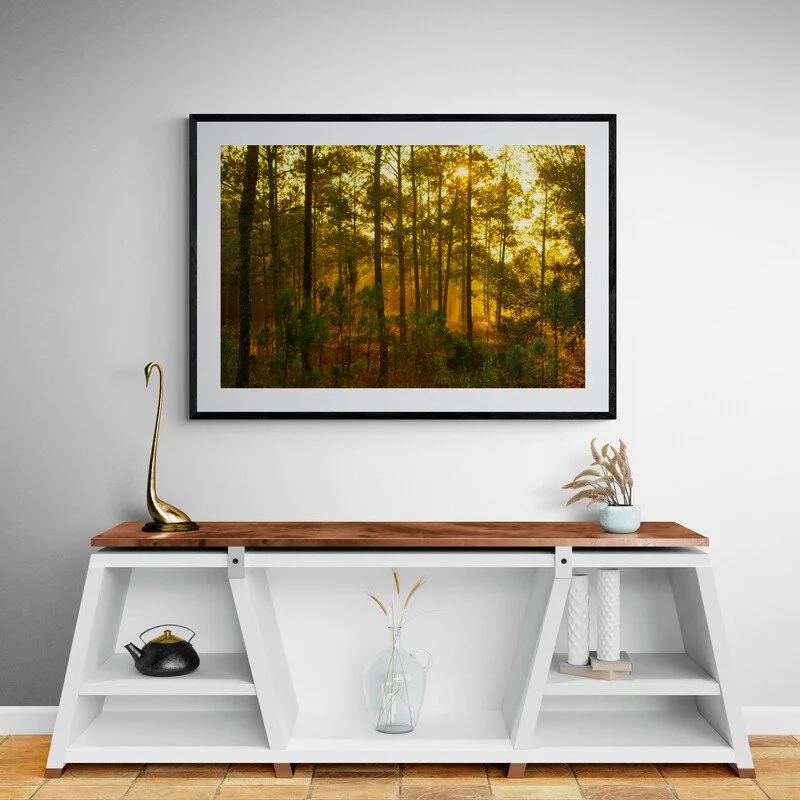 Hallway_with_modern_white_cabinet.jpg