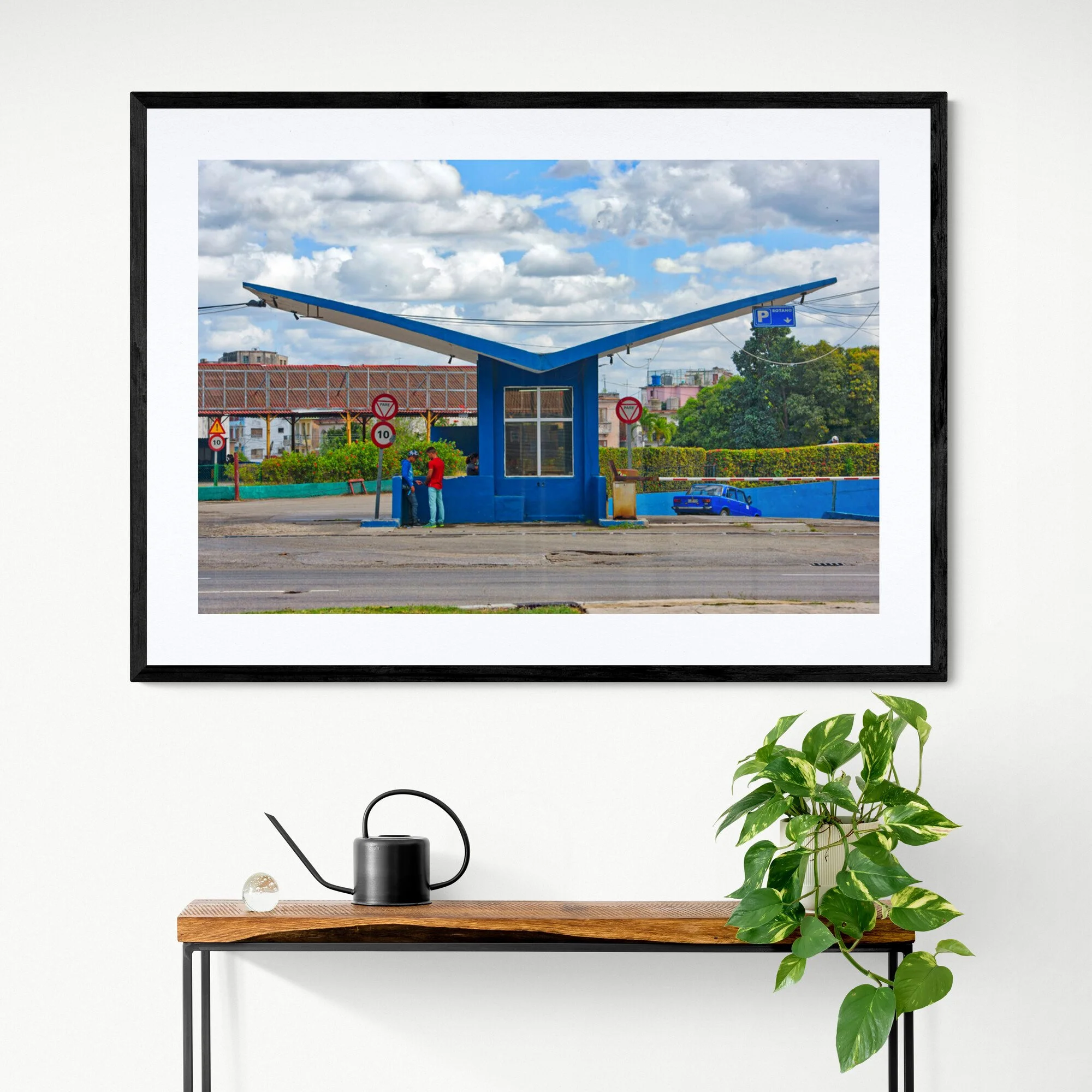 Wooden_console_table_with_plant_and_watering_can (1).jpg
