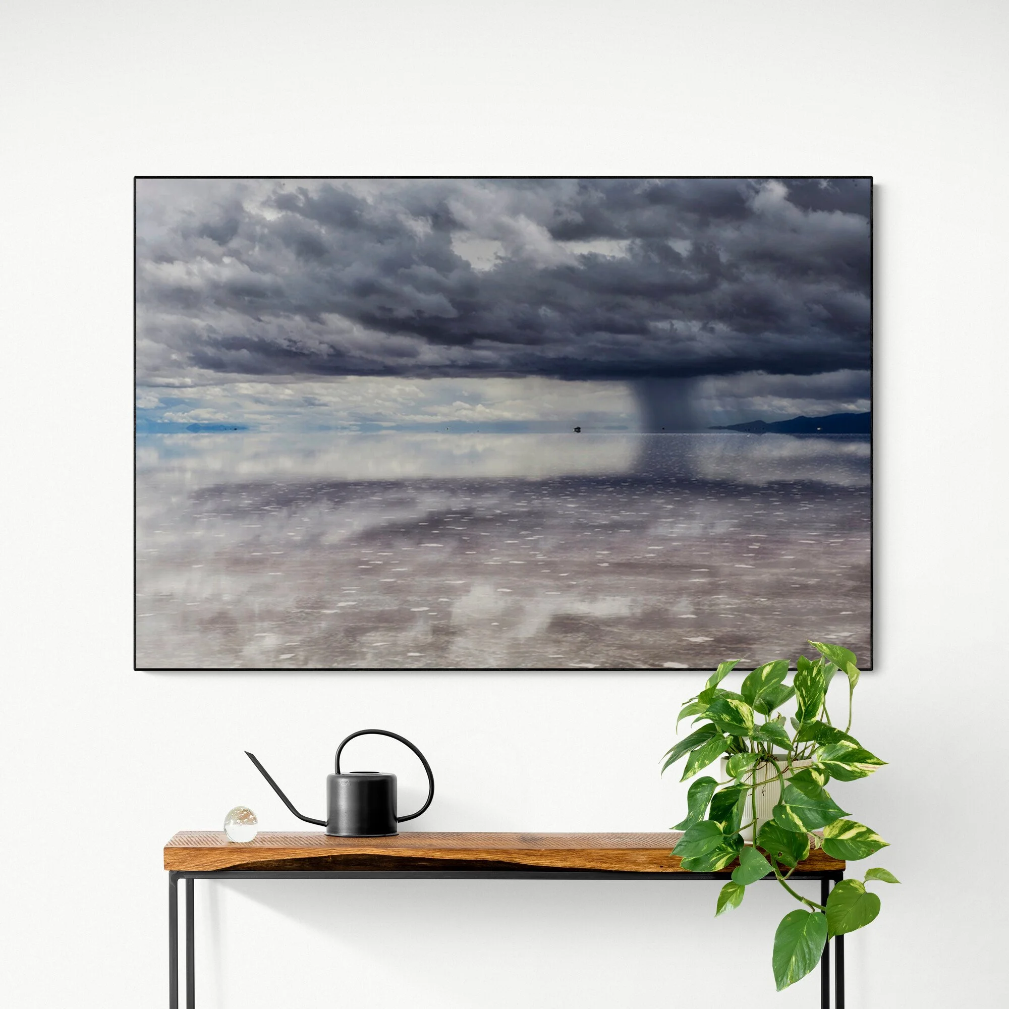 Wooden_console_table_with_plant_and_watering_can (4).jpg