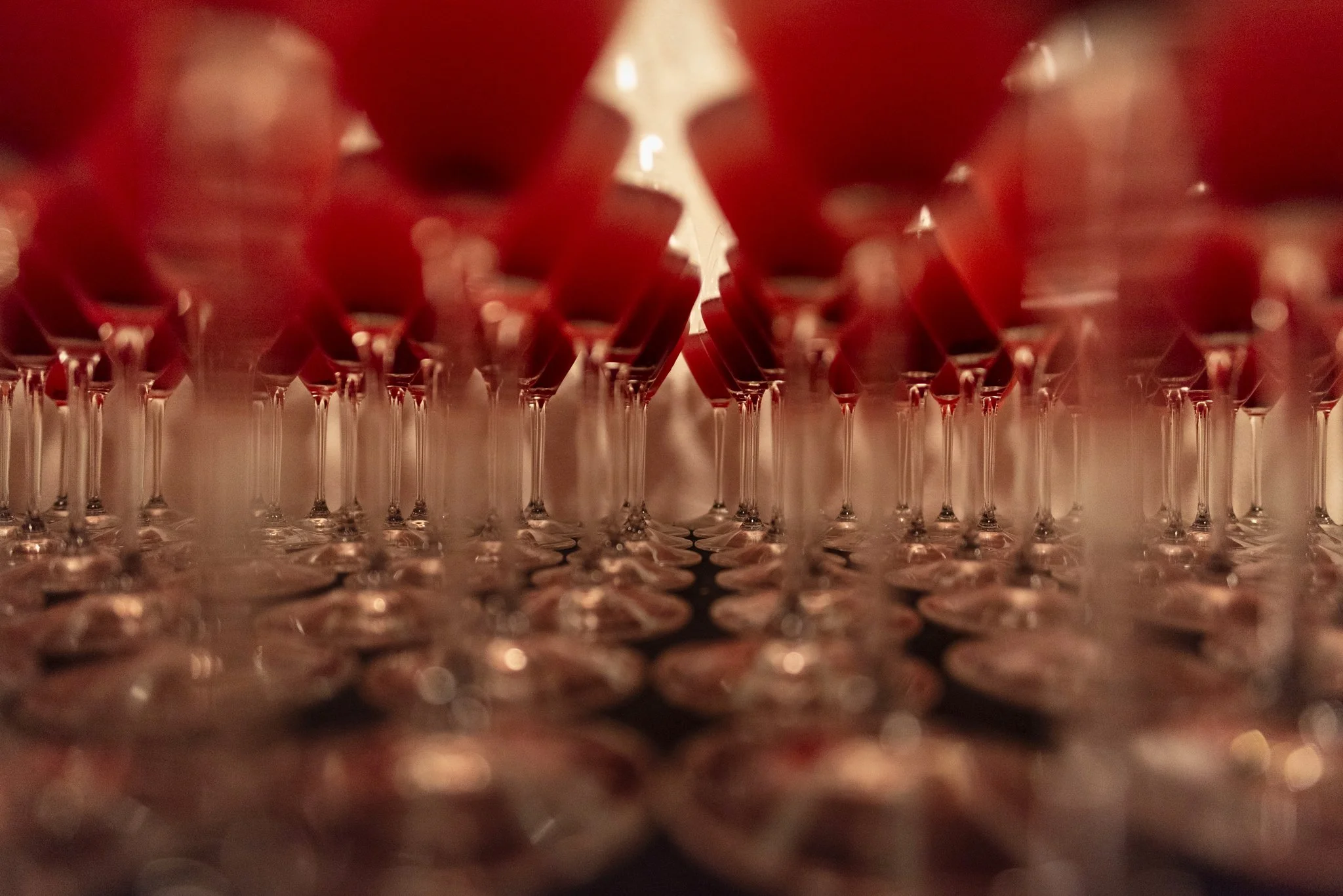 Tom Ford_Jo Melone 030226 0618.jpg
