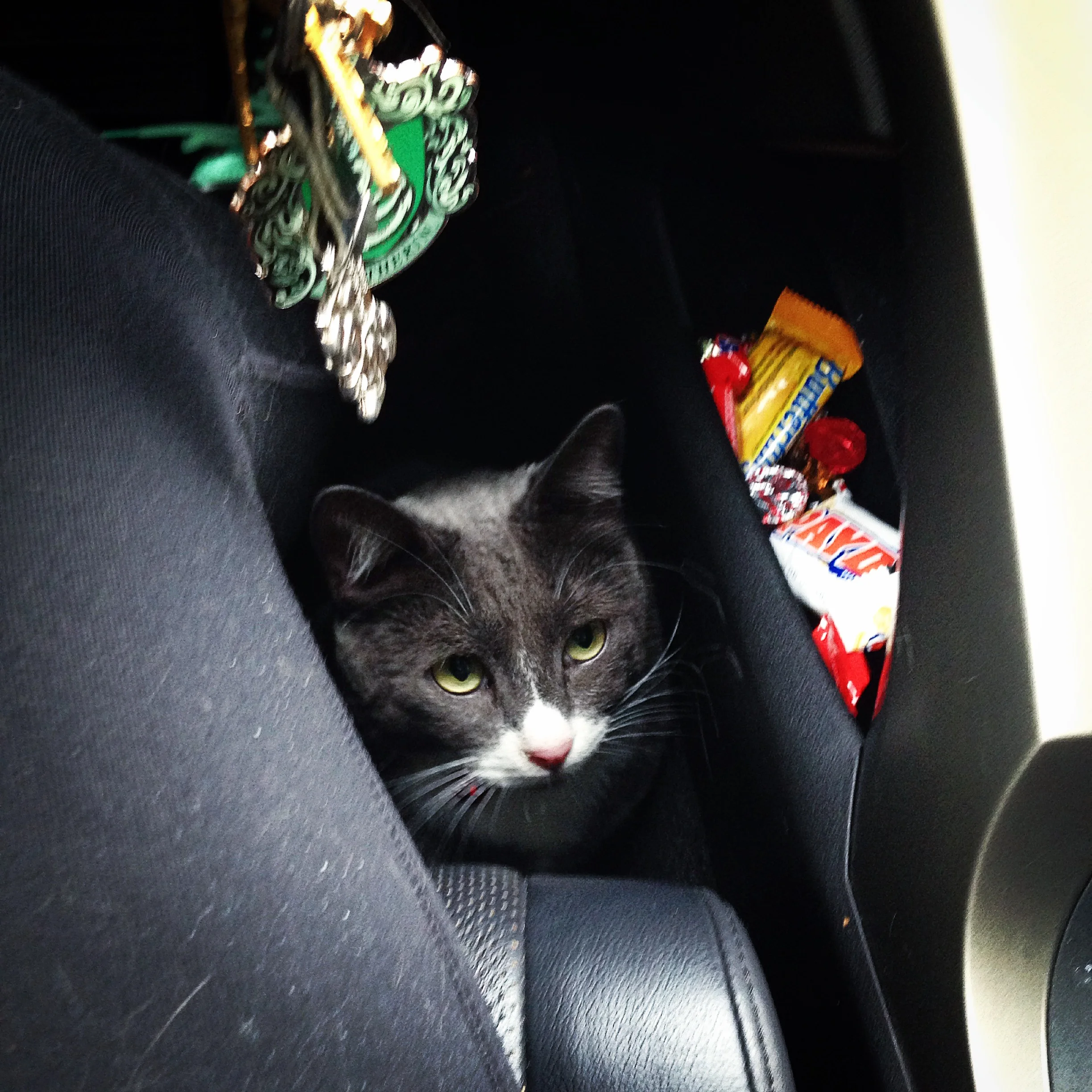 We value road safety and road snacks!
