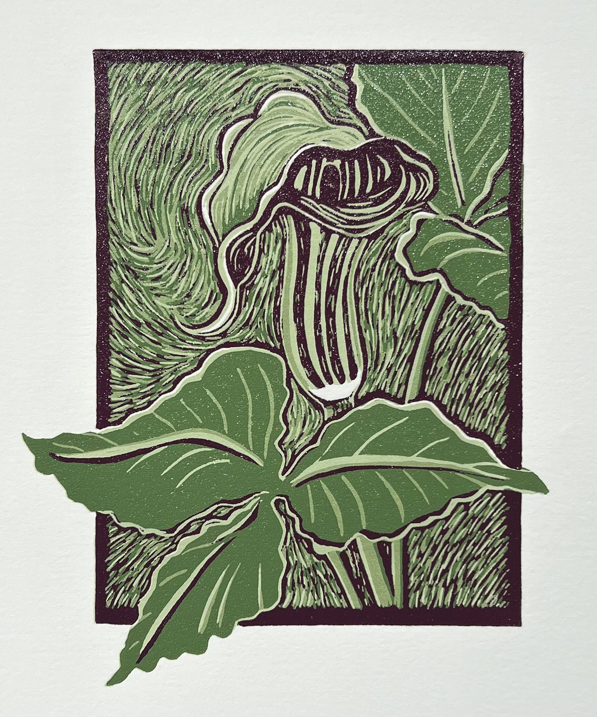 Jack in the Pulpit.jpg