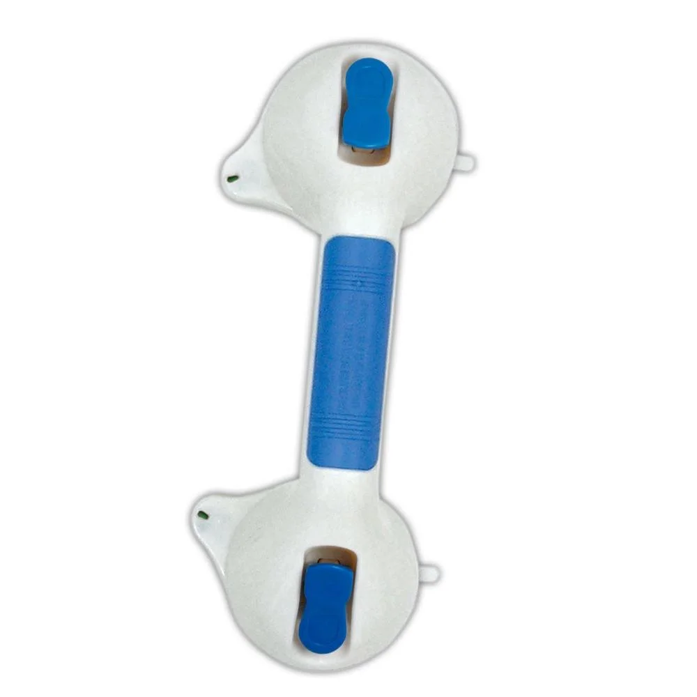 blue-ideaworks-grab-bars-ret4776-64_1000.jpg