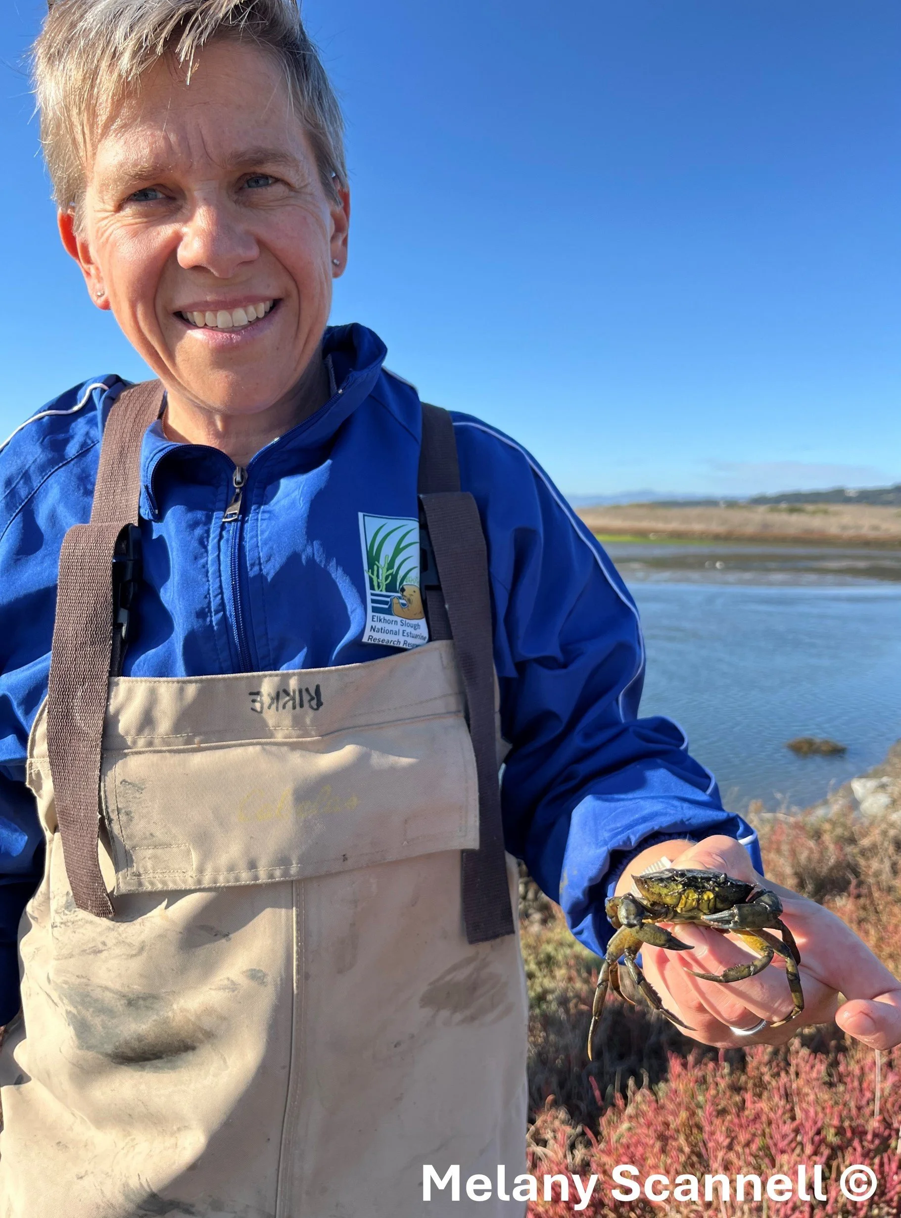 Rikke Jeppesen Harvesting Green Crab Elkhorn Slough