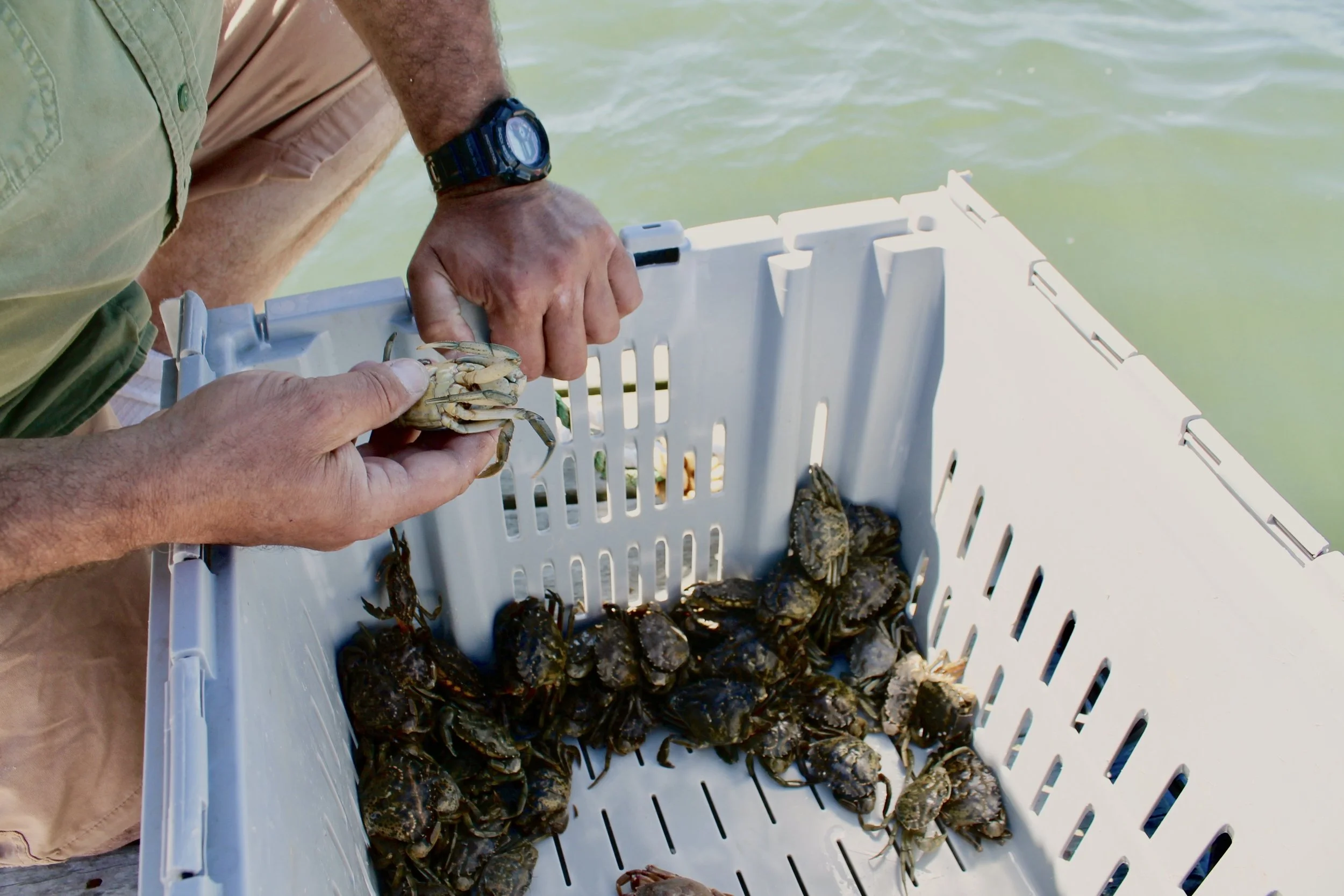 Binational Great Lakes Aquatic Invasive Species Forum 