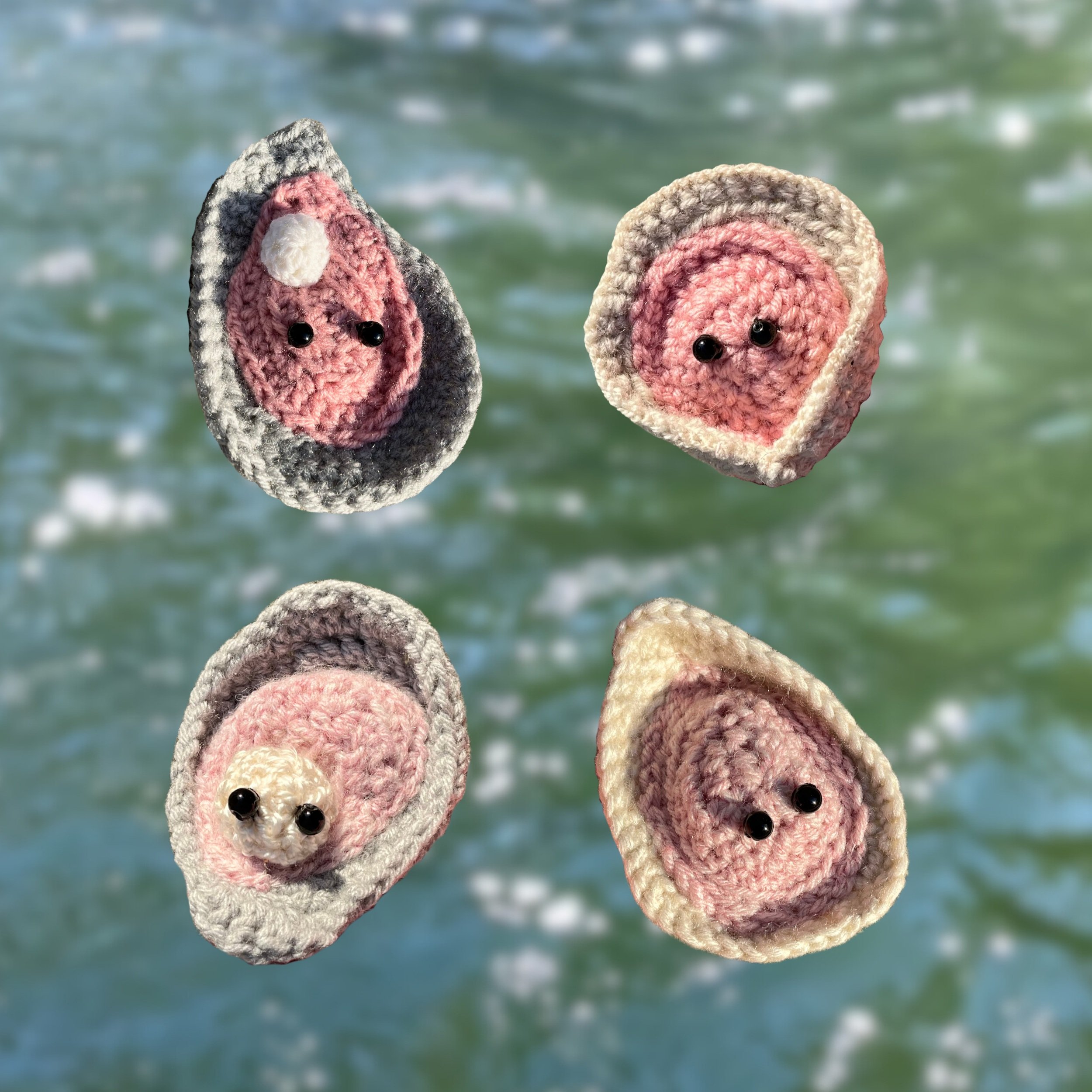 Adopt+a+Clam.jpg