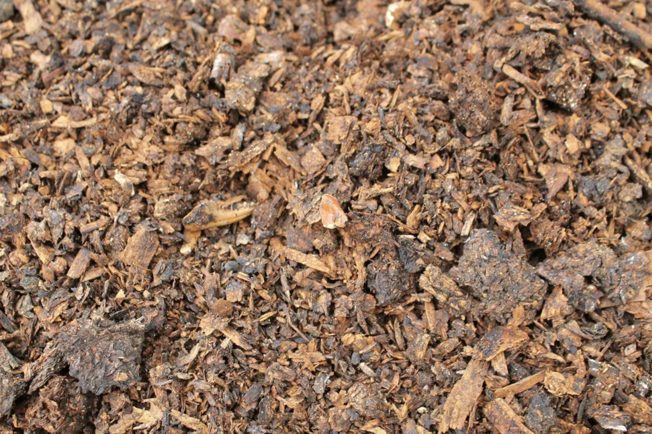 Green Crab compost from Wolfe's Neck Center