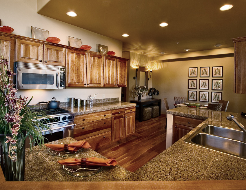 janet_treseder_interior_design_riverwalk_kitchen.jpg