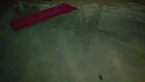 floaty