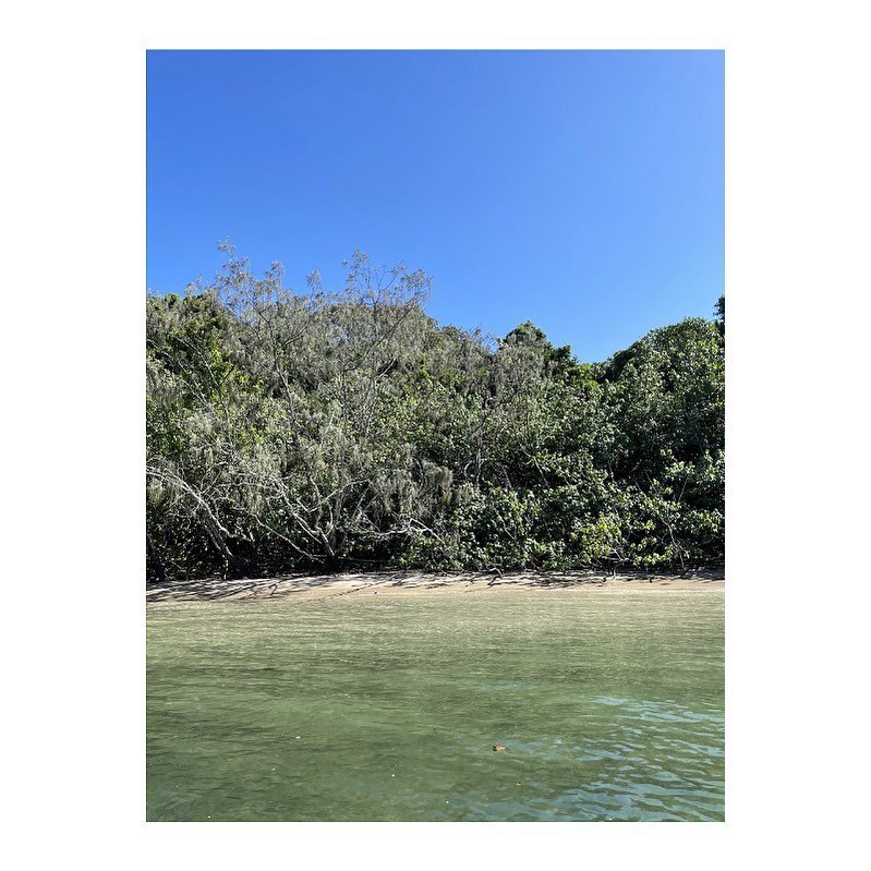 The only thing keeping me going... regular dips in crystal clear, cold saltwater.

With only 3 weeks left of work, I&rsquo;ve been bribing myself with ocean swims to maintain focus and get through it all.