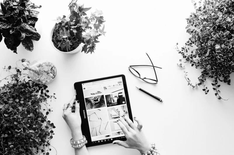 Setting Up A Garden Office: How To Design A Working Space For Success