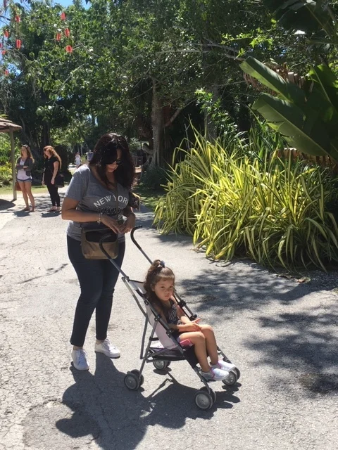 Not Without My Coffee- Naples Zoo