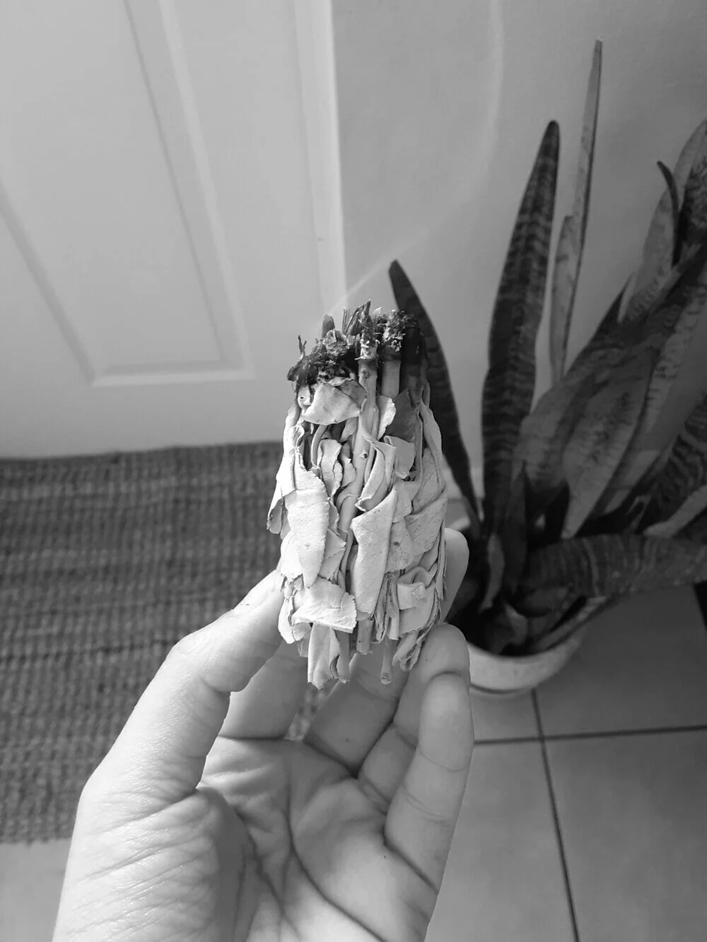Smudging Your Home For Prosperity, Health and Protection