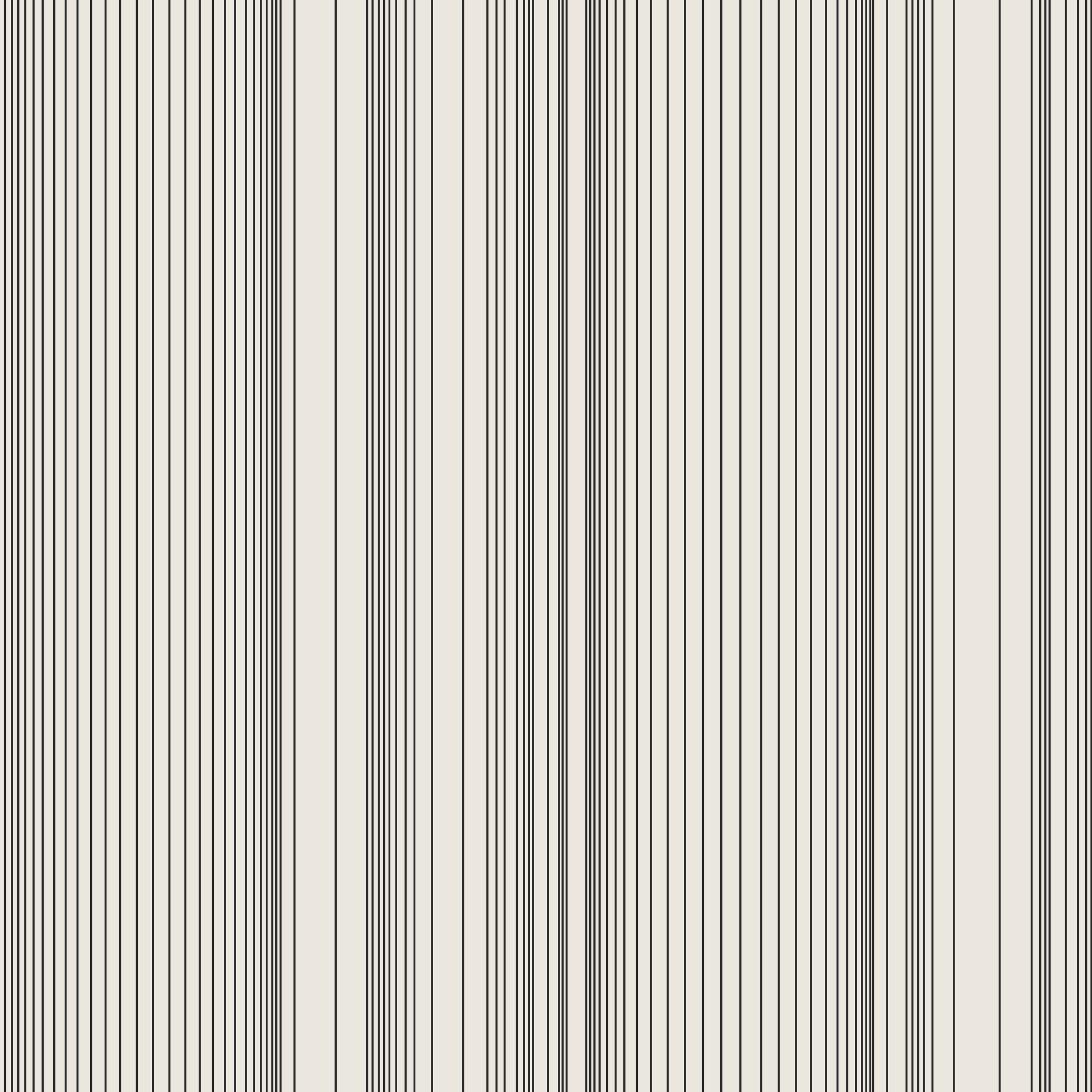 Encoded Stripe - Black and White (Copy)