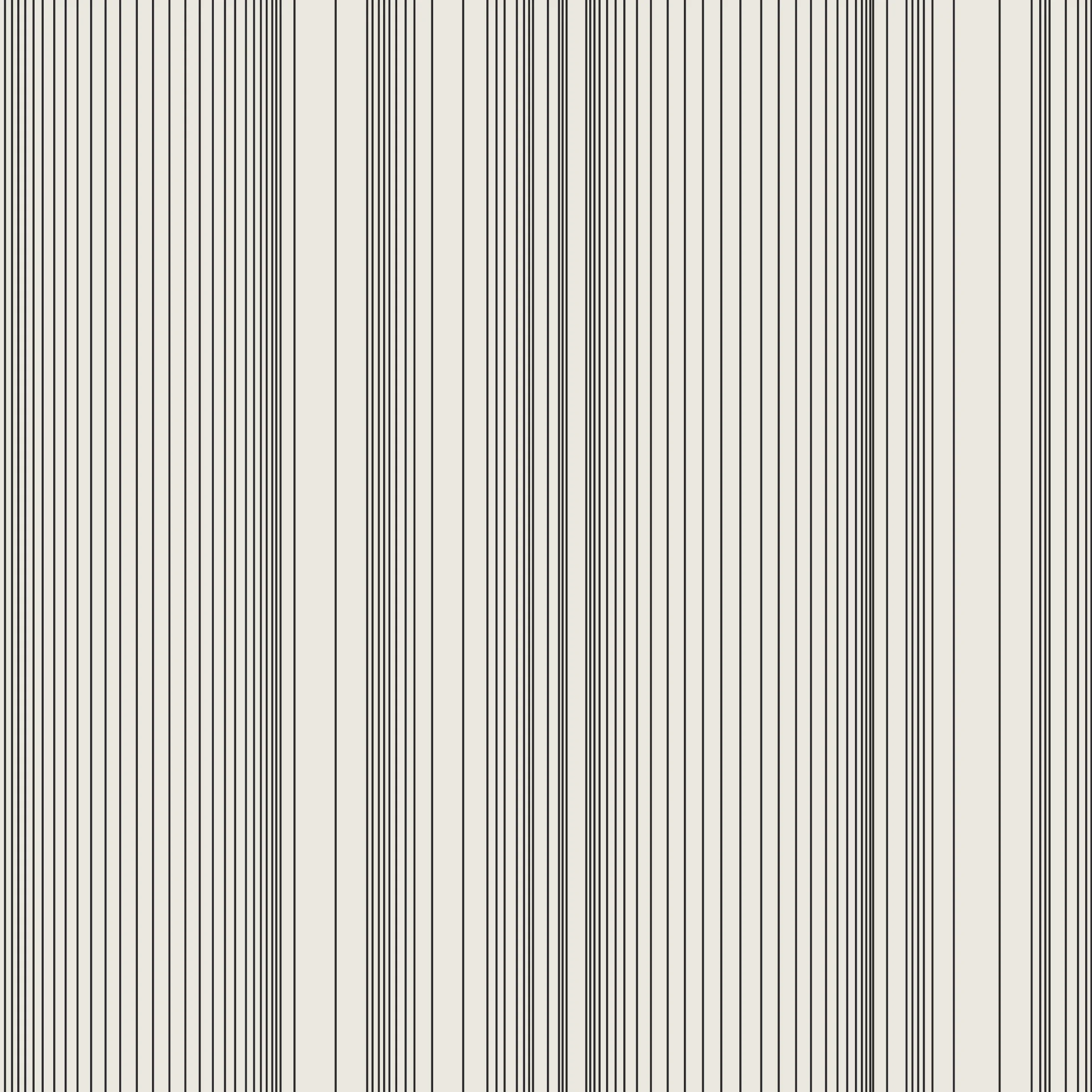 Encoded Stripe - Black and White