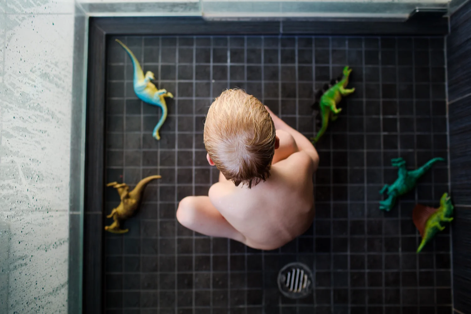 ArdelleNeubert_Child_Playing_Dinosaurs.jpg